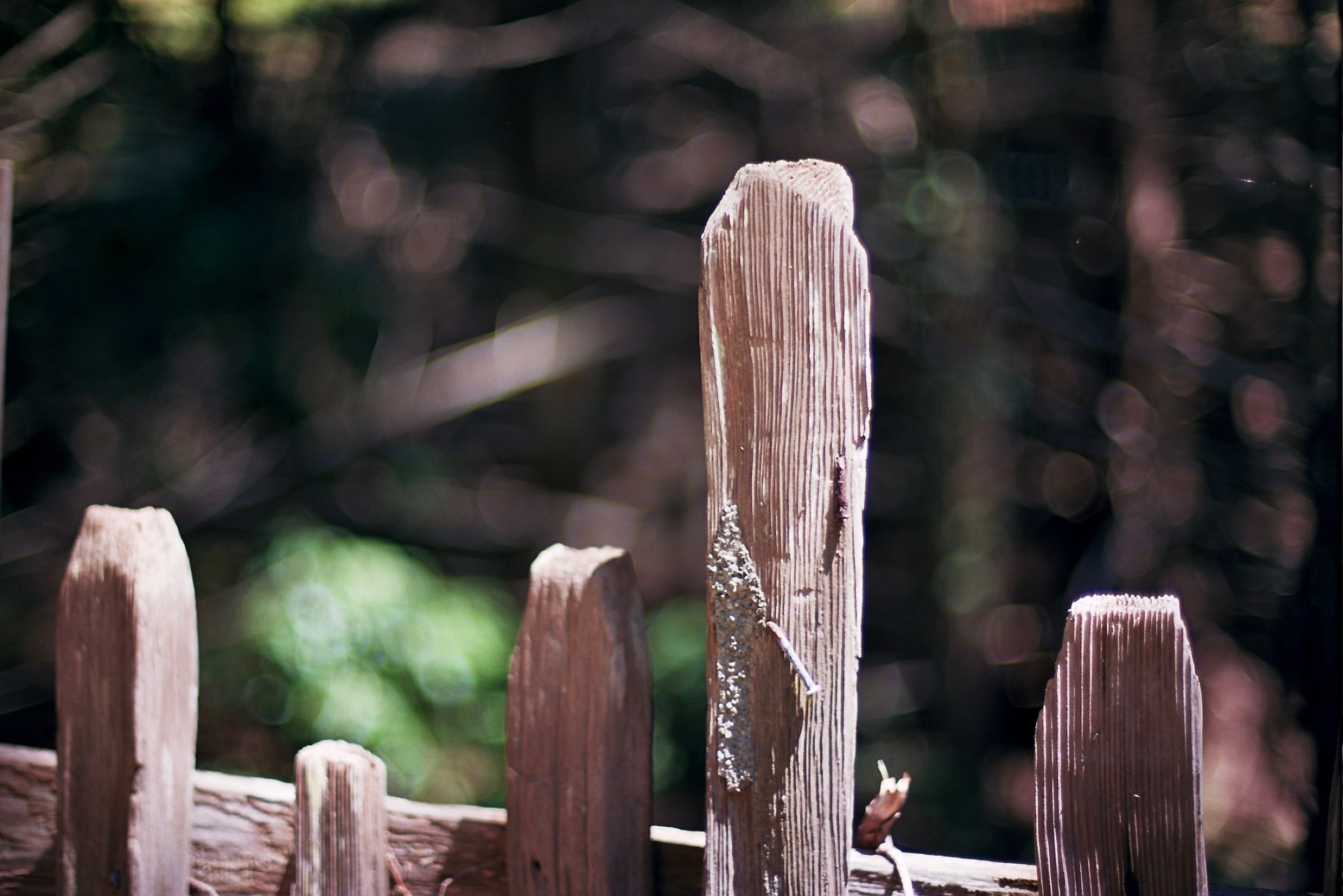 Old fence at Ft. Ross