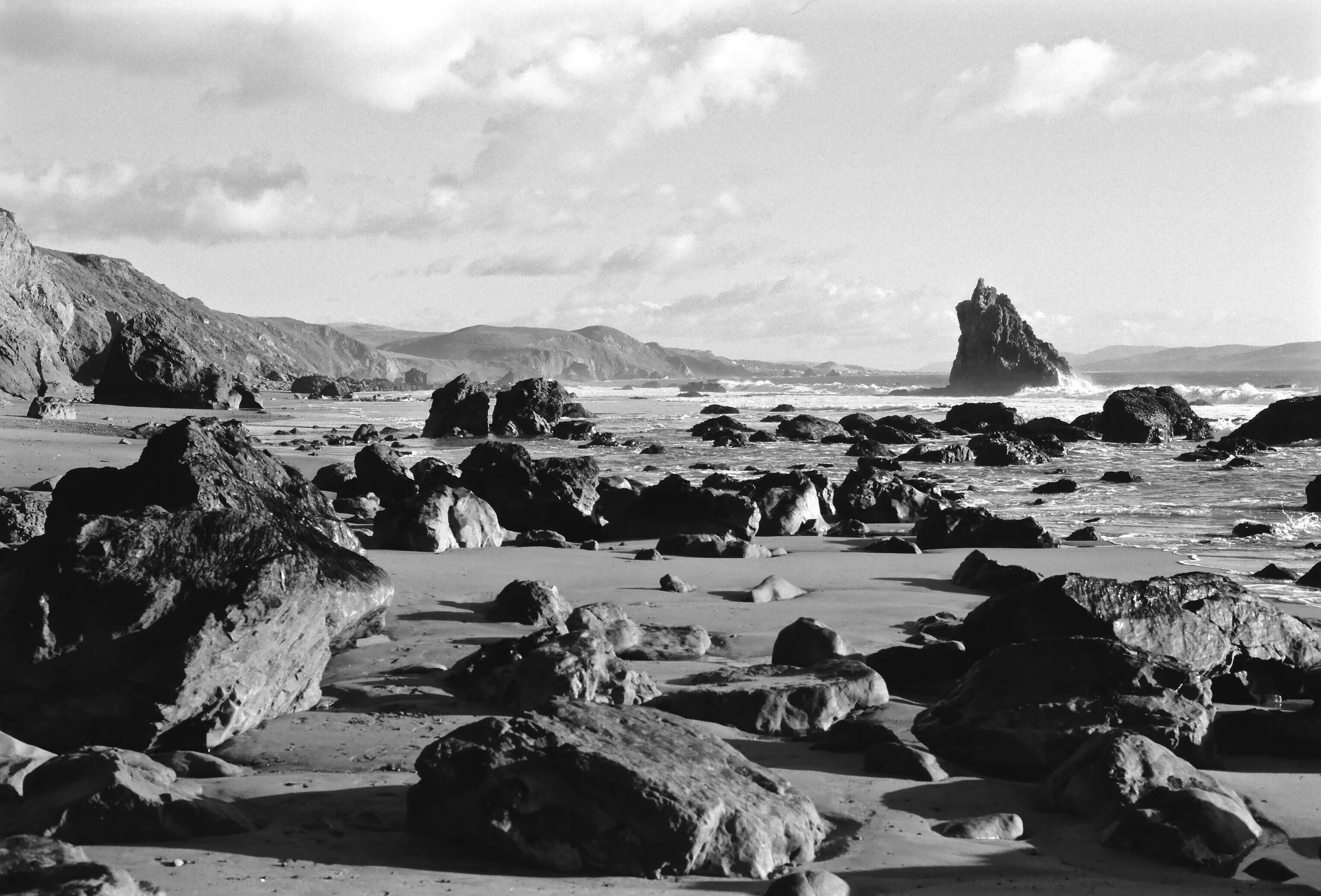 Sonoma Coast near Bodega Bay, CA
