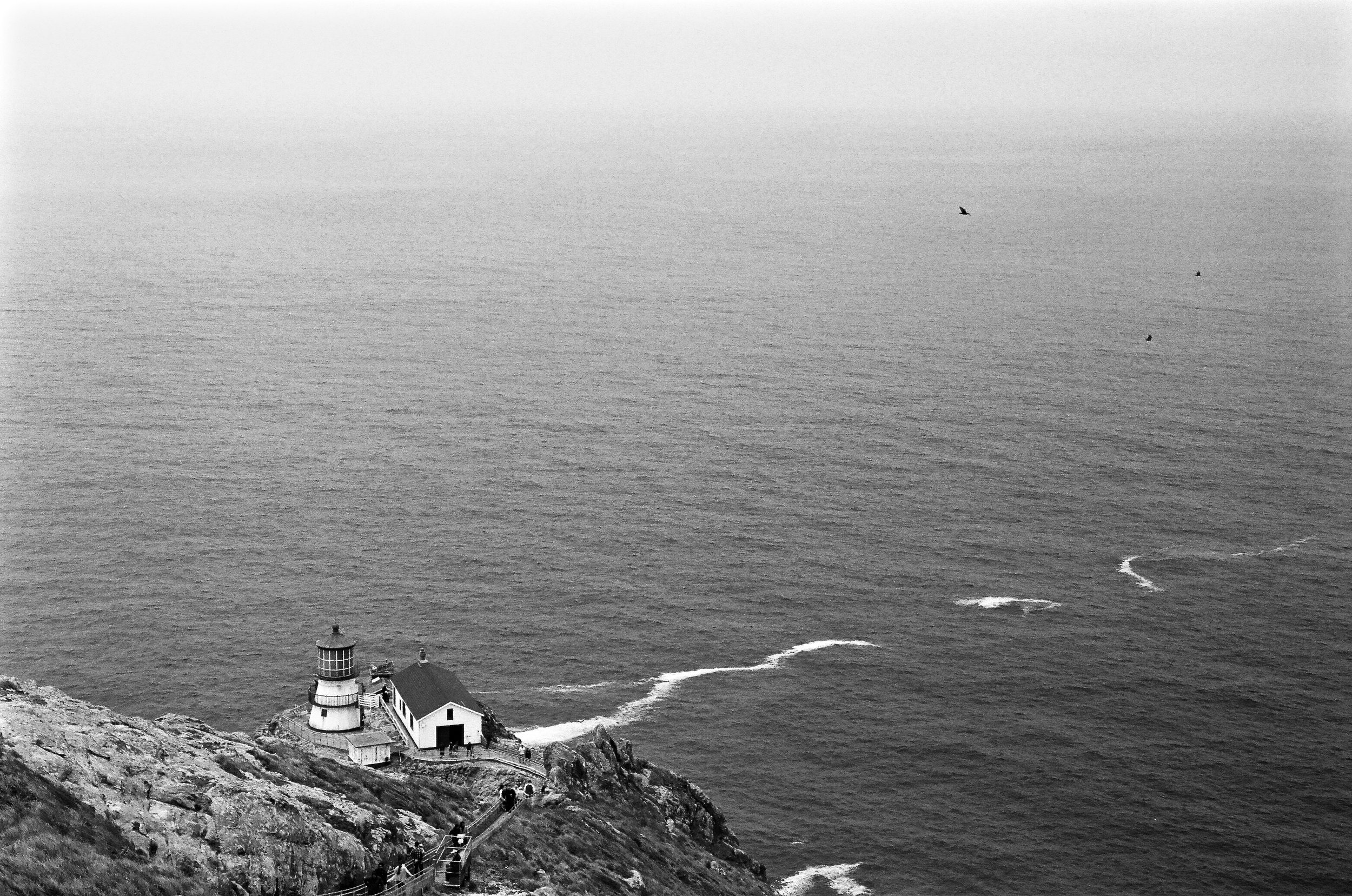 My style is certainly influenced quite a bit by where I live. (Pt Reyes Lighthouse, Leica M2, Acros film)