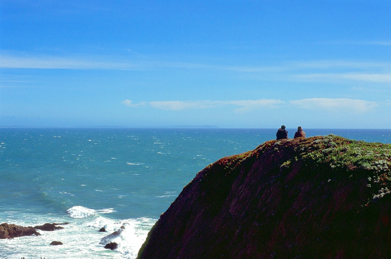 Bodega Head, CA (Contax RX, 50 Zeiss Planar, Velvia 100)