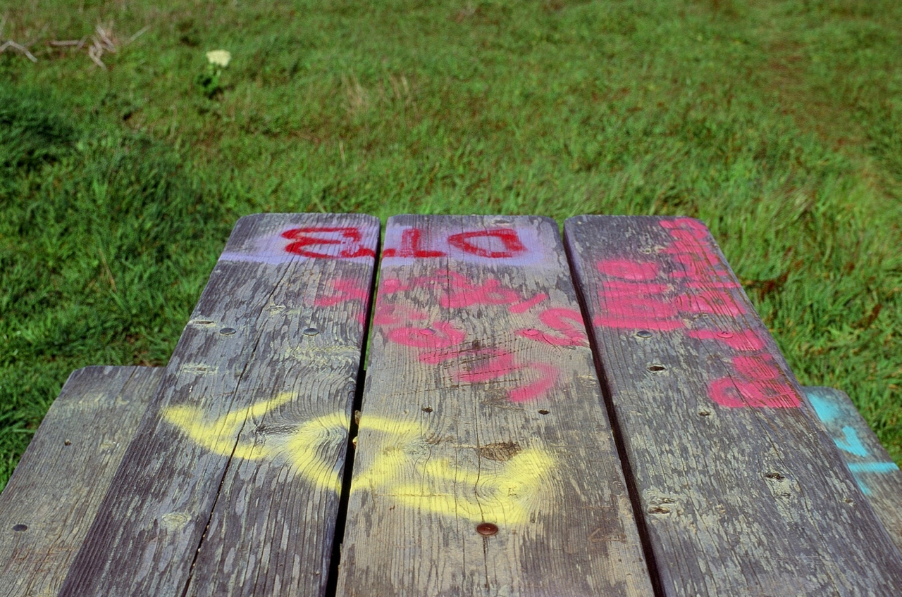 Tagged Picnic Table, Bodega Head, CA (Contax RX, 50 Zeiss Planar, Velvia 100)