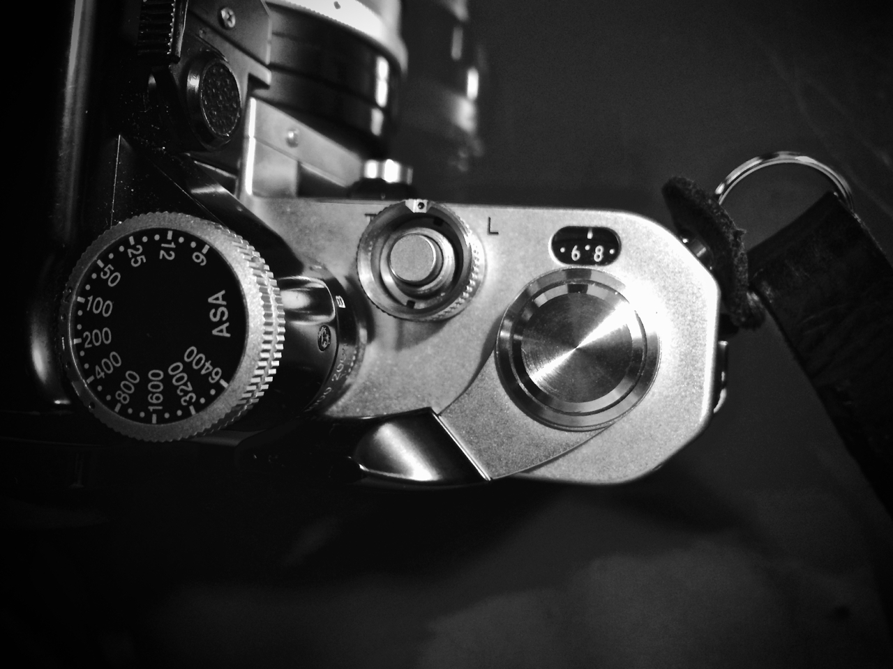 Nikon F2 shot with Nikon F2 and 55mm Micro-Nikkor