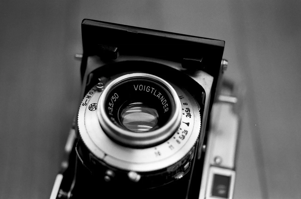 Vito camera shot with Nikon F2 and 55mm Micro-Nikkor