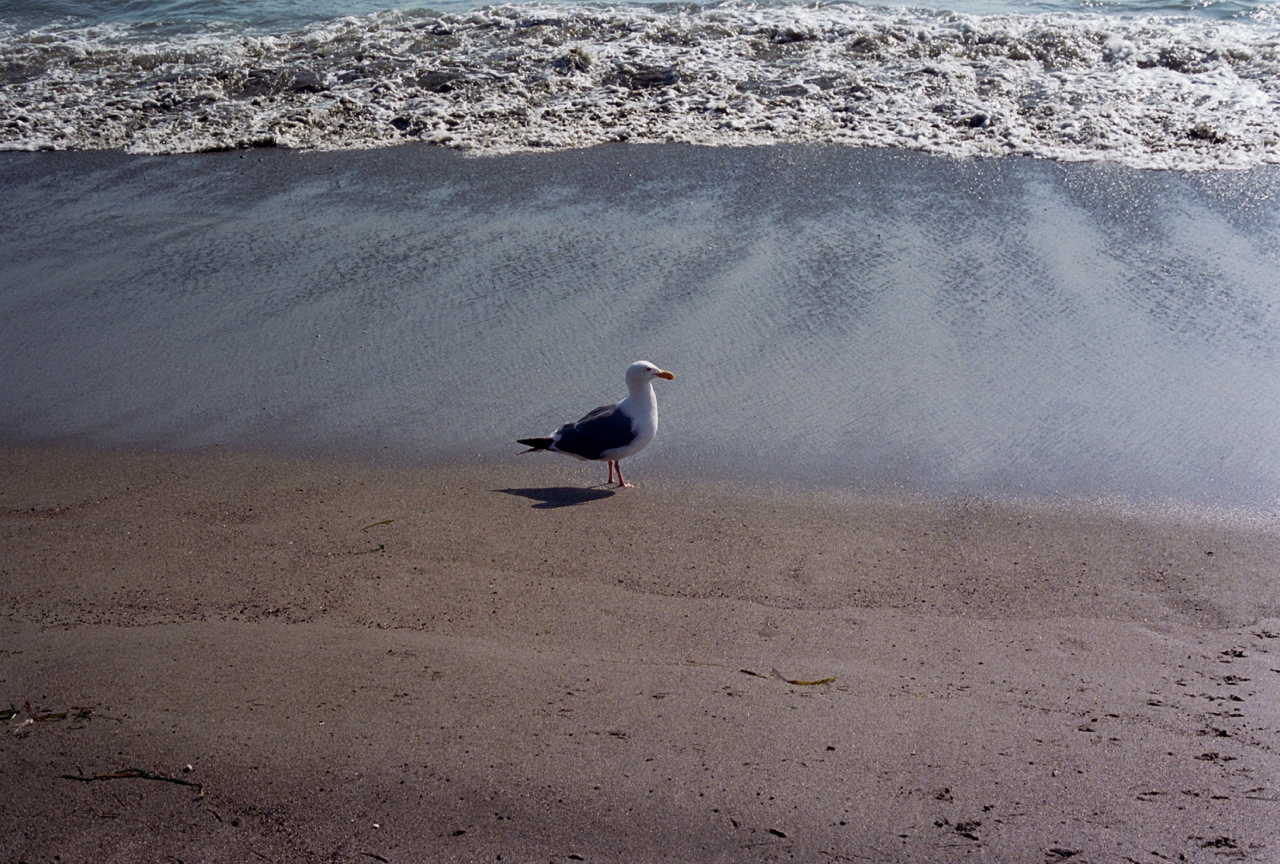 26A_0026.jpg