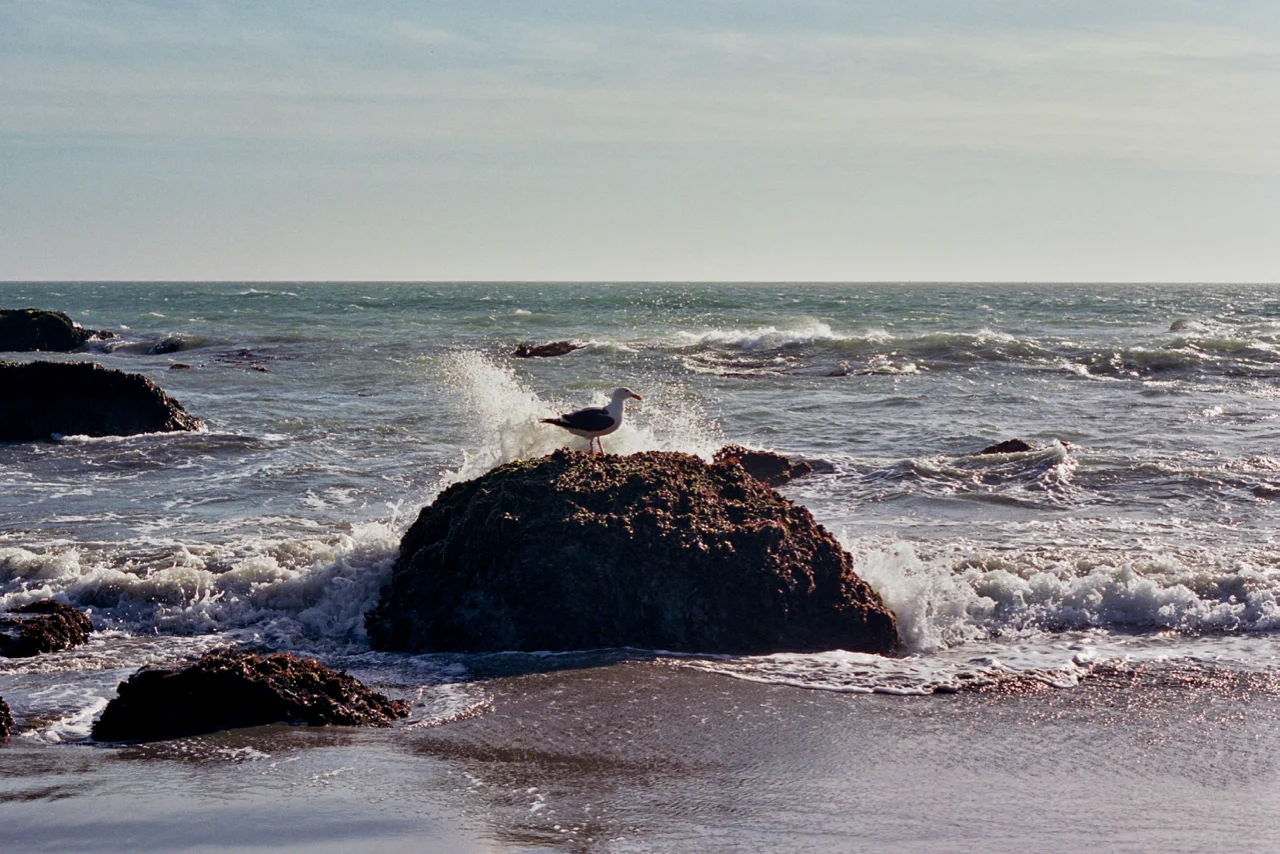 17A_0135.jpg