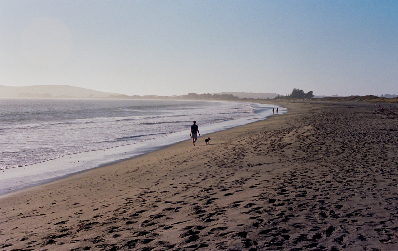 Walking the dog.jpg