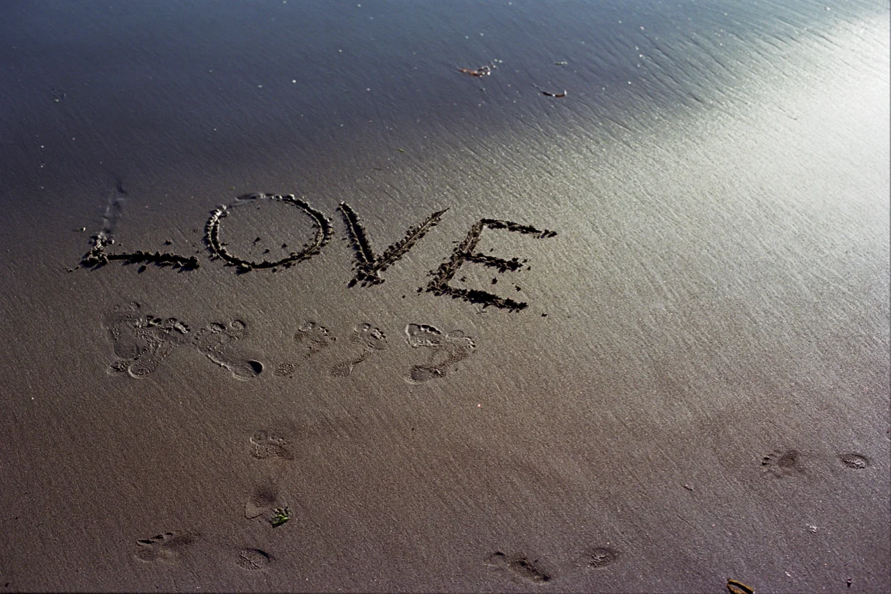 Love On The Beach.jpg
