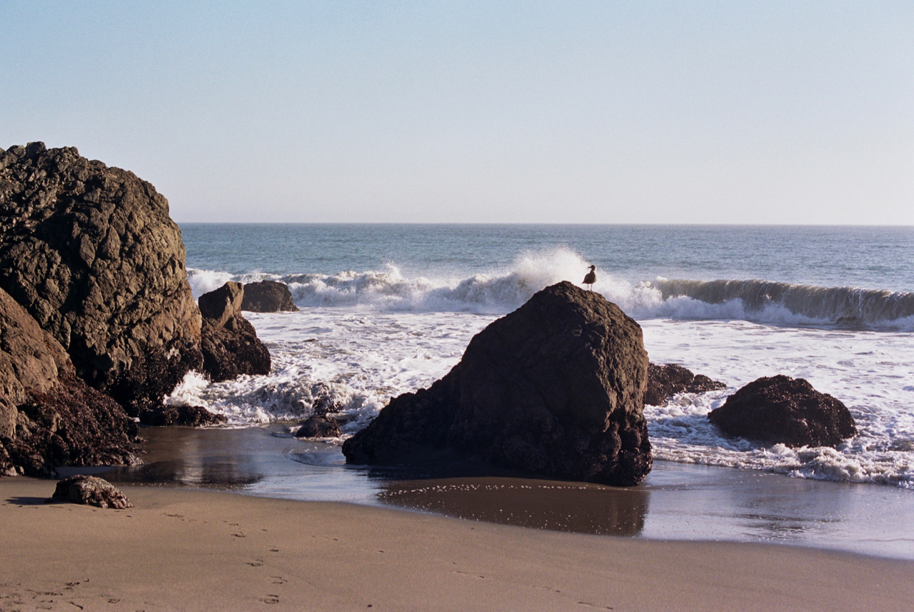 11A_0079.jpg