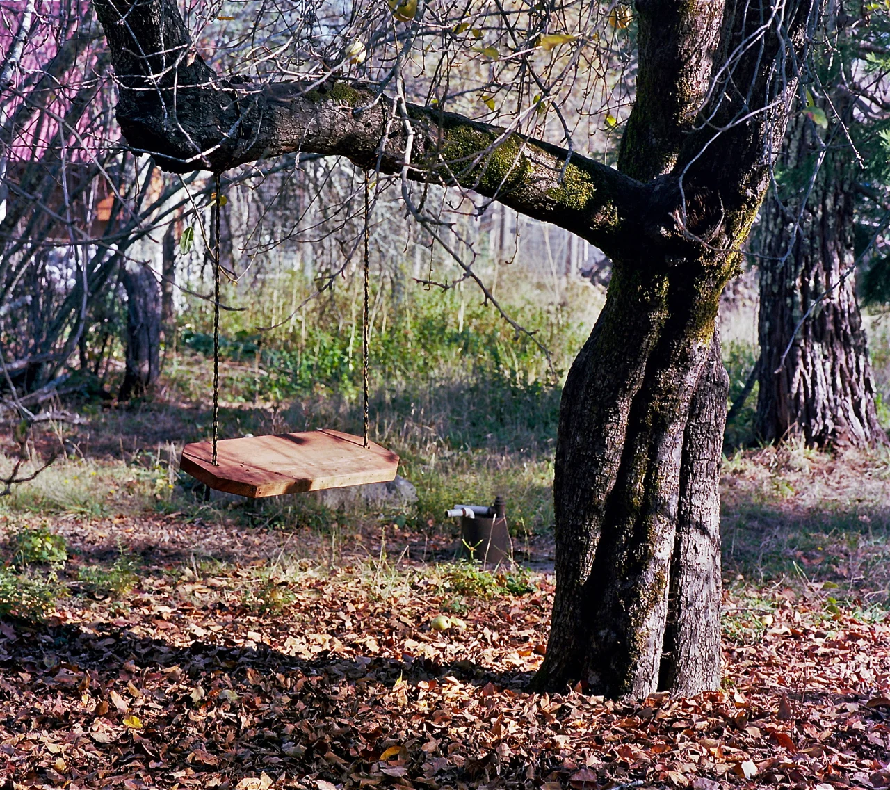 ---_0020.jpg
