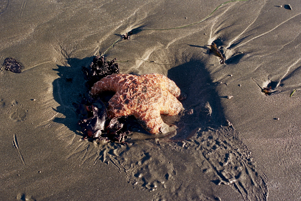 20A_0017.jpg