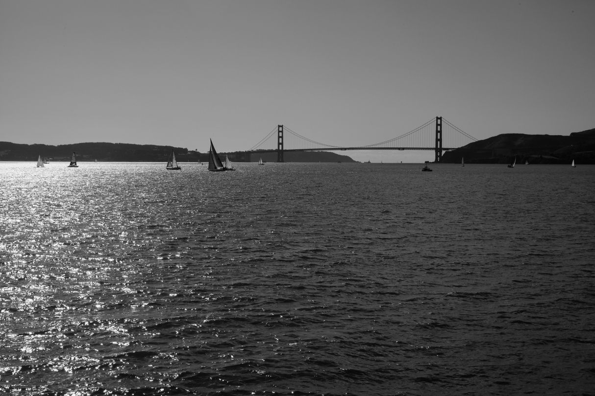 L1002985.jpg
