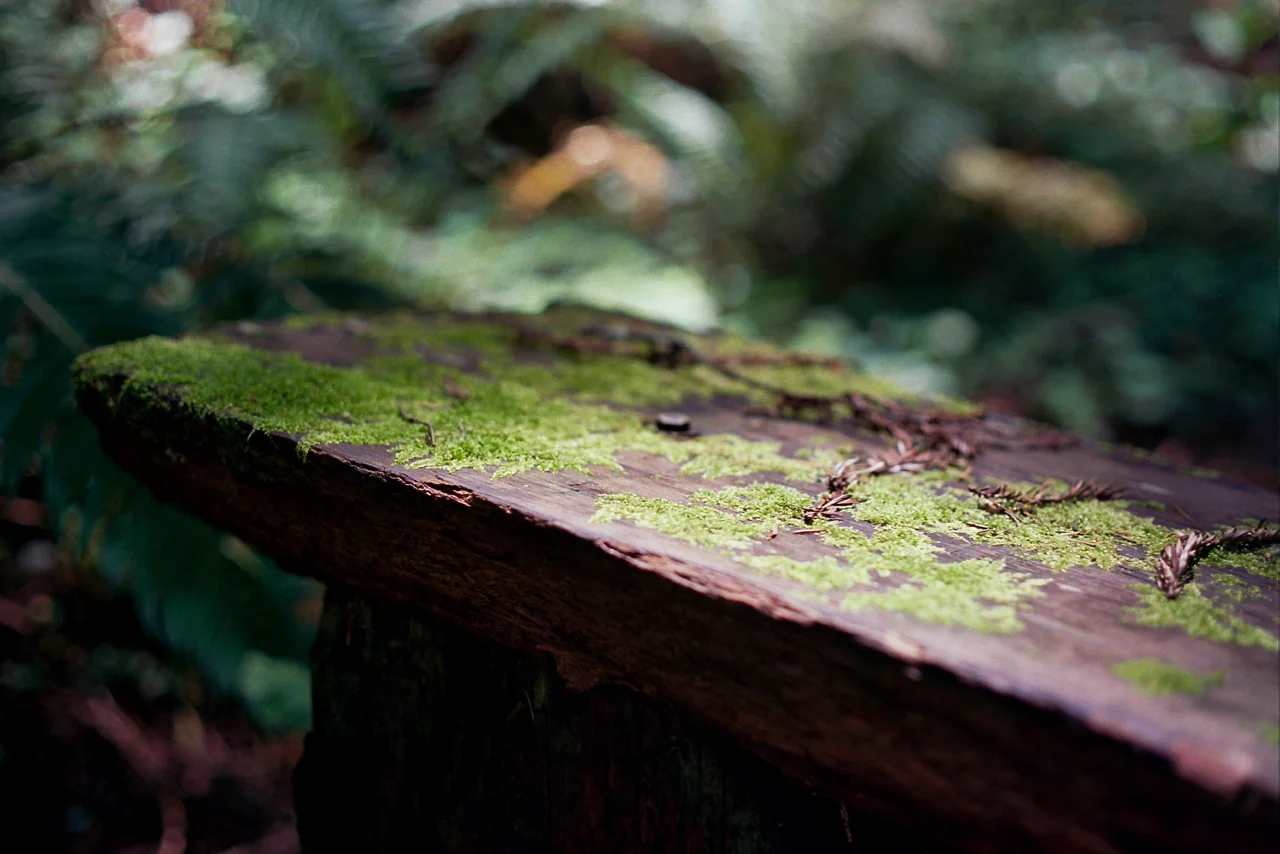 _6A_0005.jpg