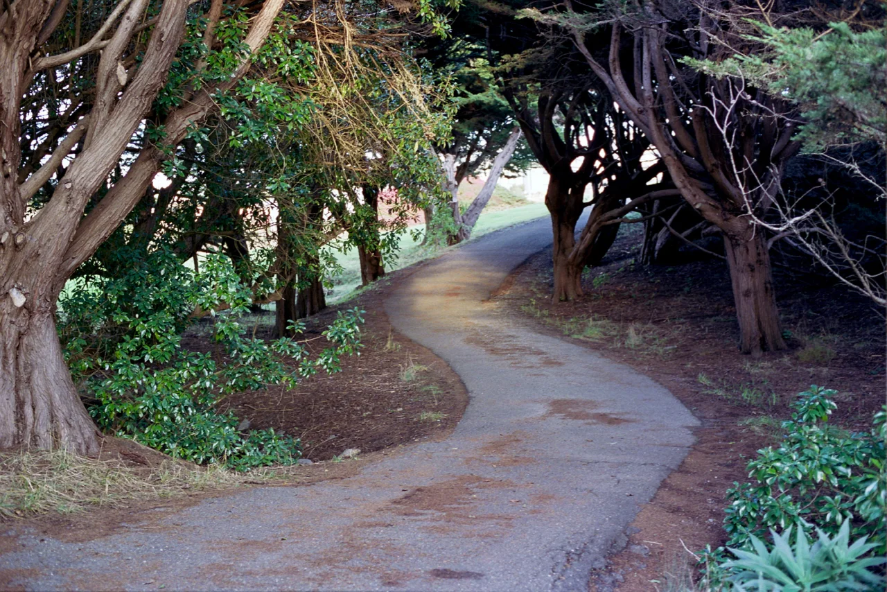 19A_0020.jpg