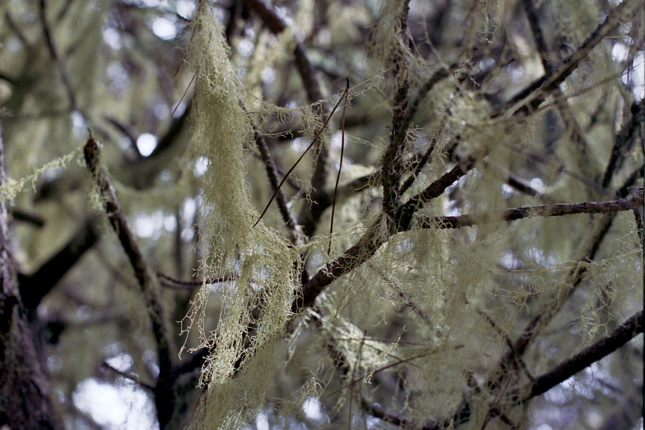_7A_0026.jpg