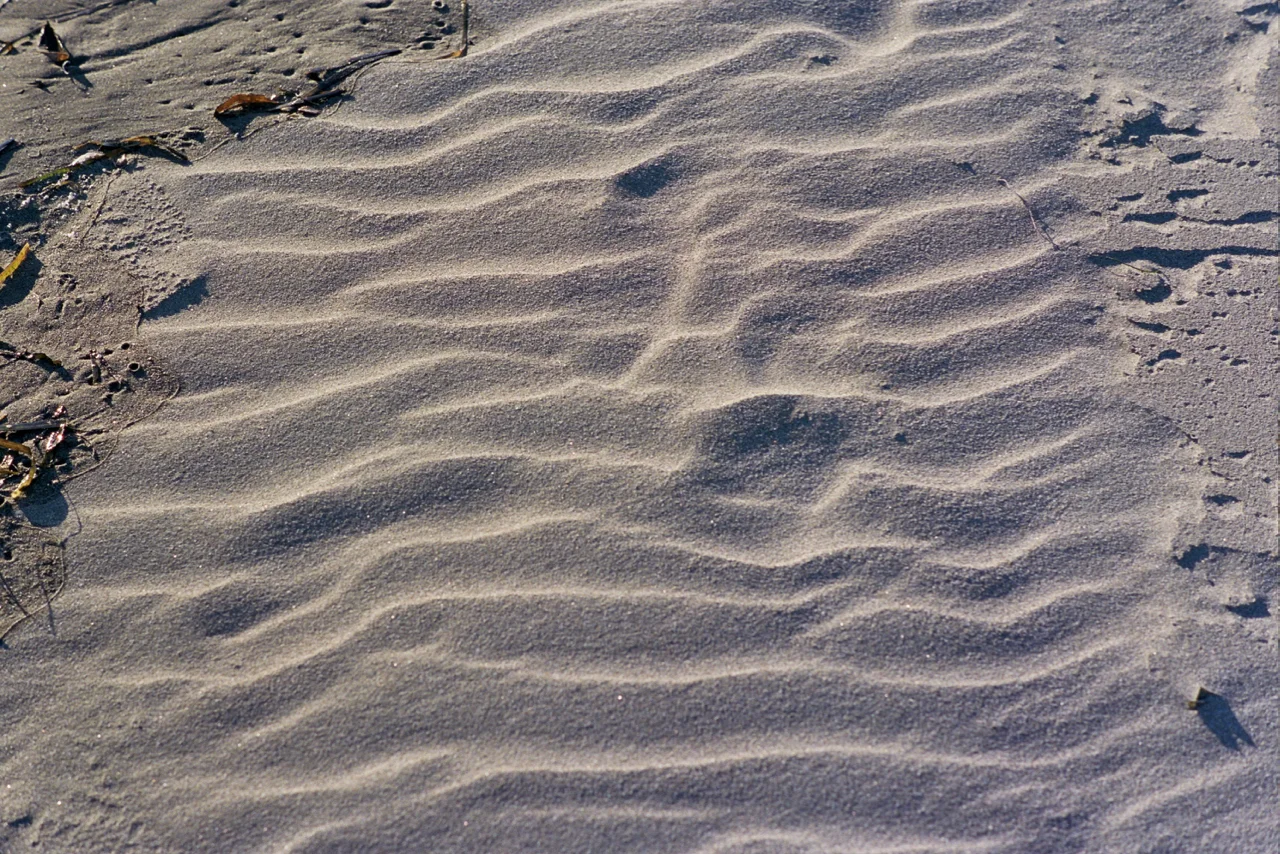 22A_0039.jpg