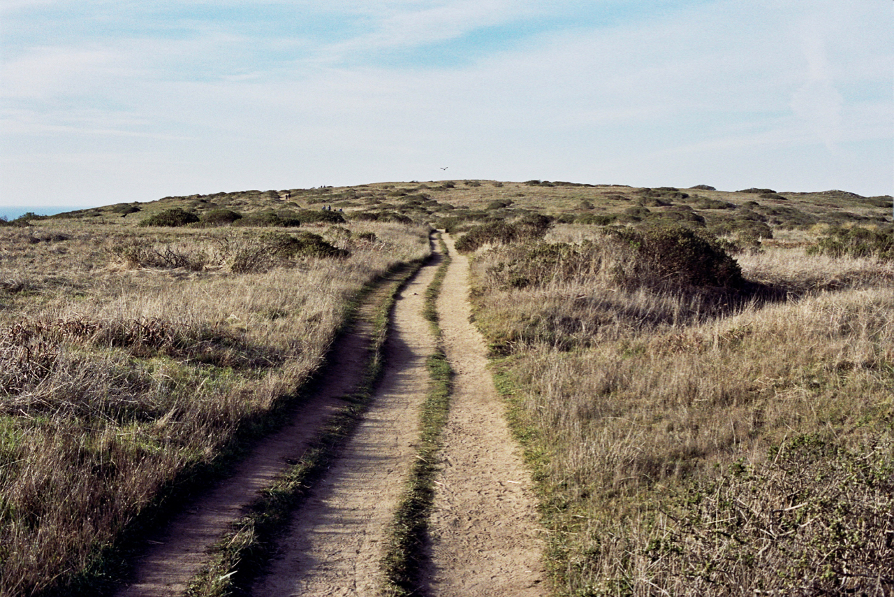 _14_0013.jpg
