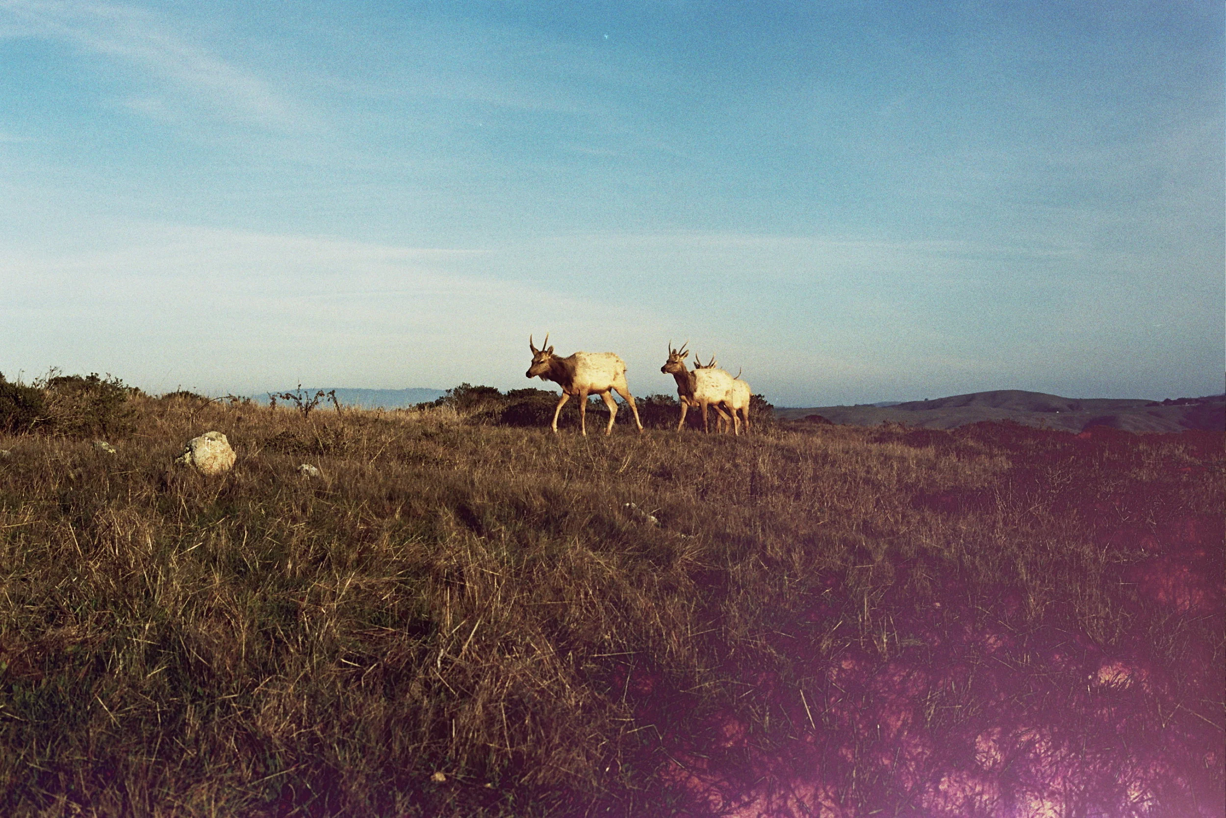 _21_0020.jpg