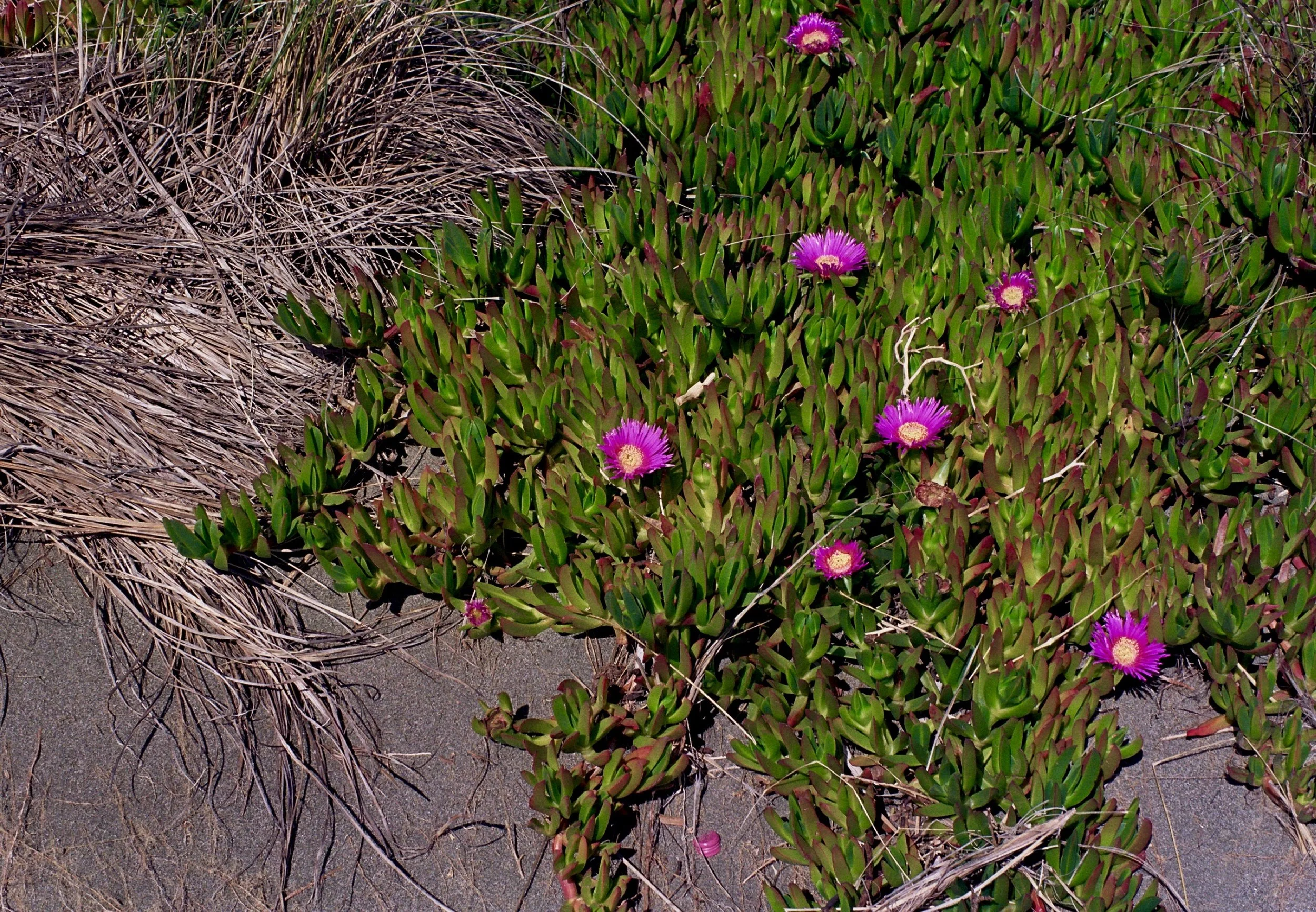 19A_0015.jpg