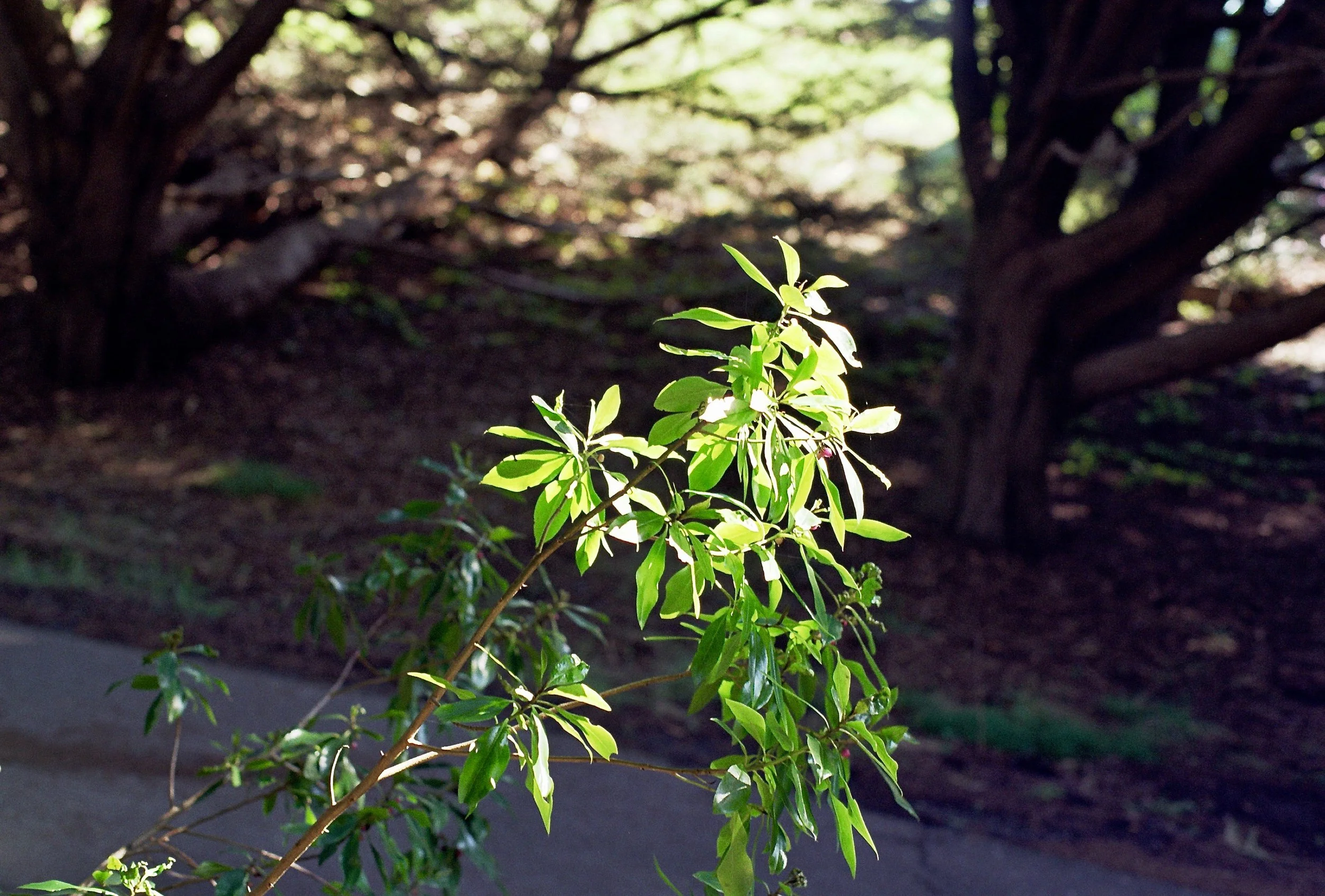 22A_0018.jpg