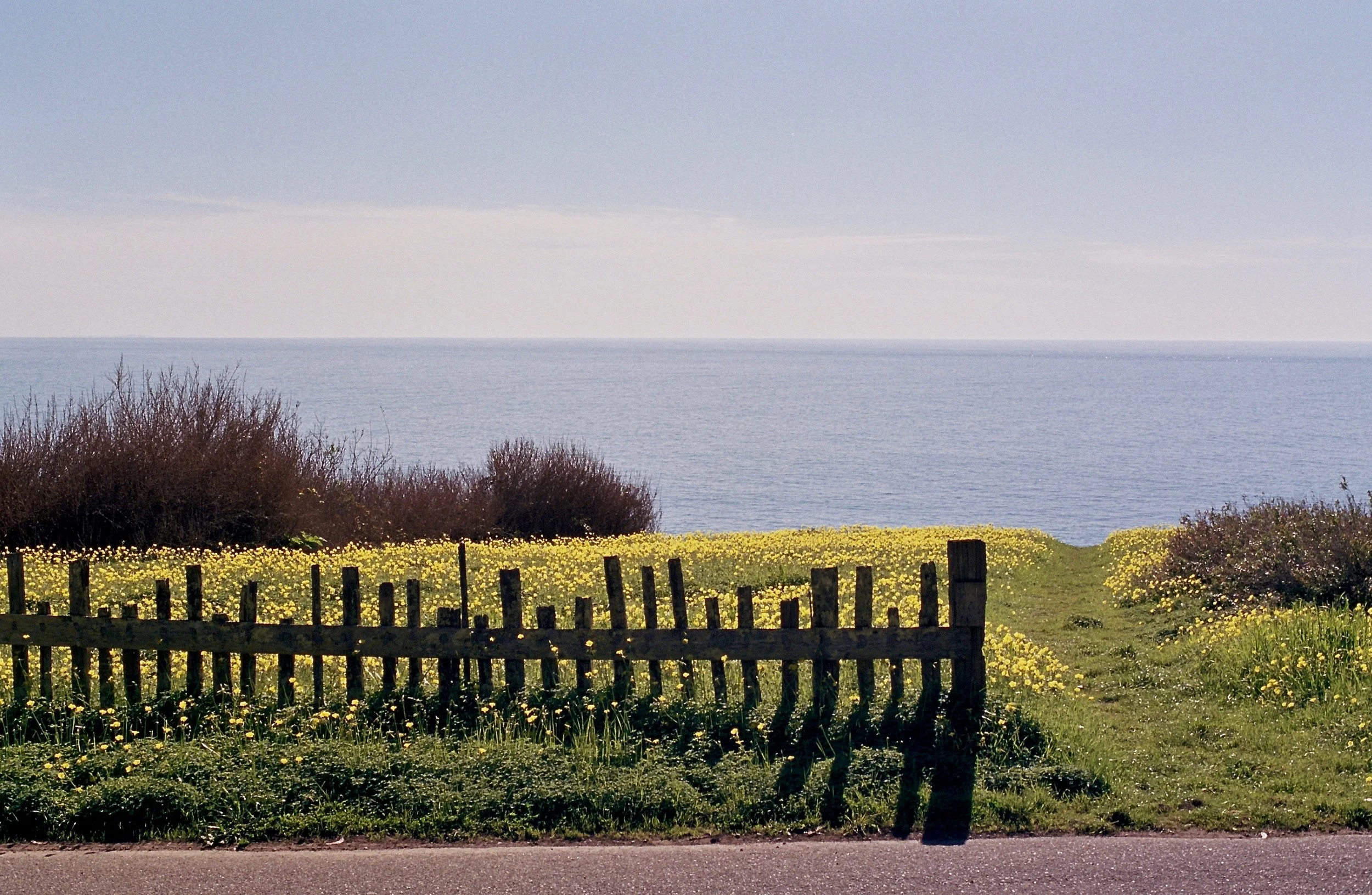 Fence and Path.jpg