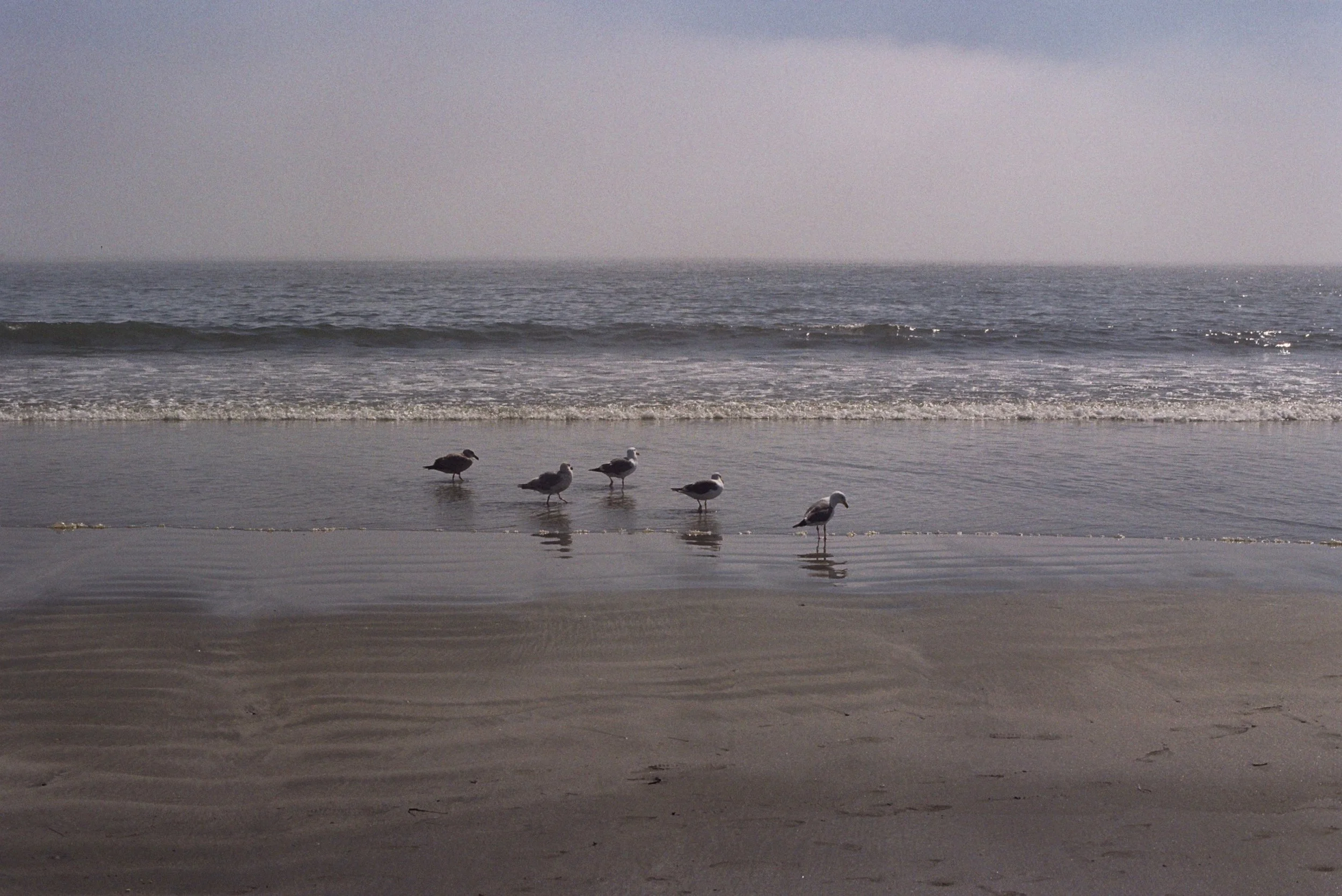 Five on The Beach.jpg