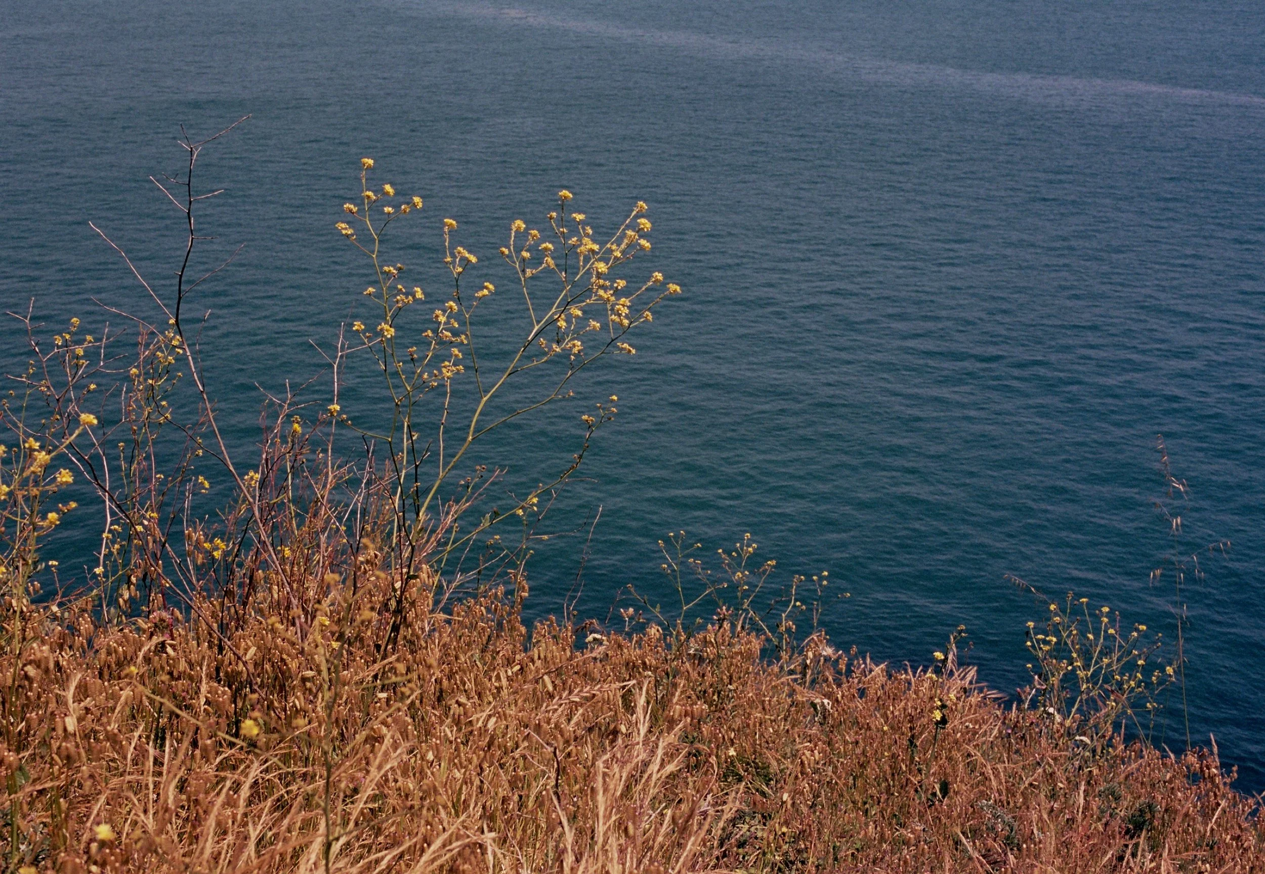 _14_0017.jpg