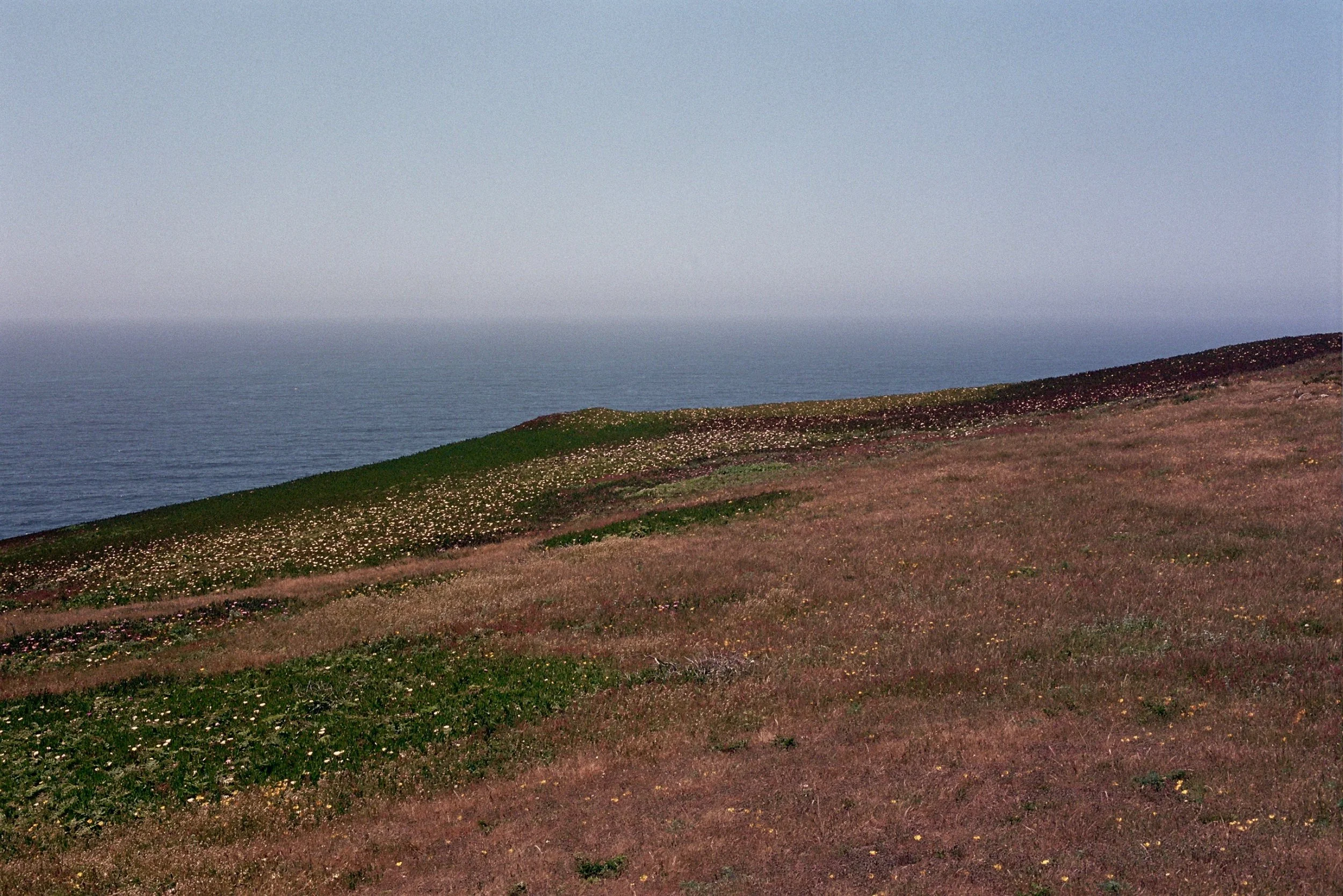 Lands End.jpg