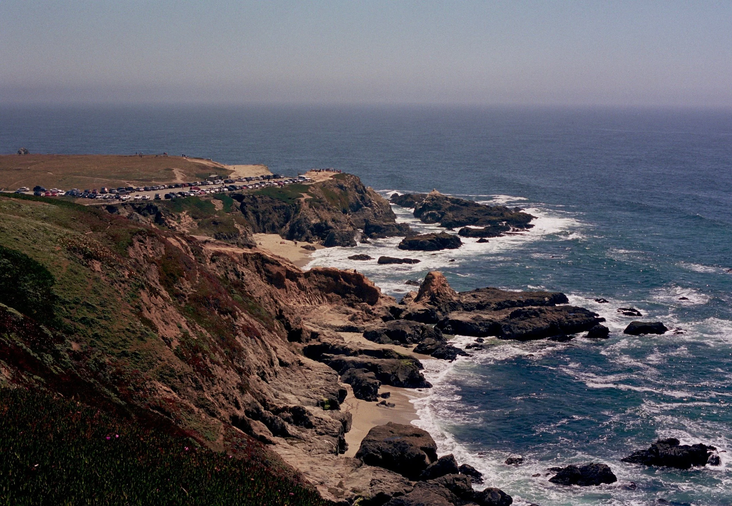 Bodega Head Trail.jpg