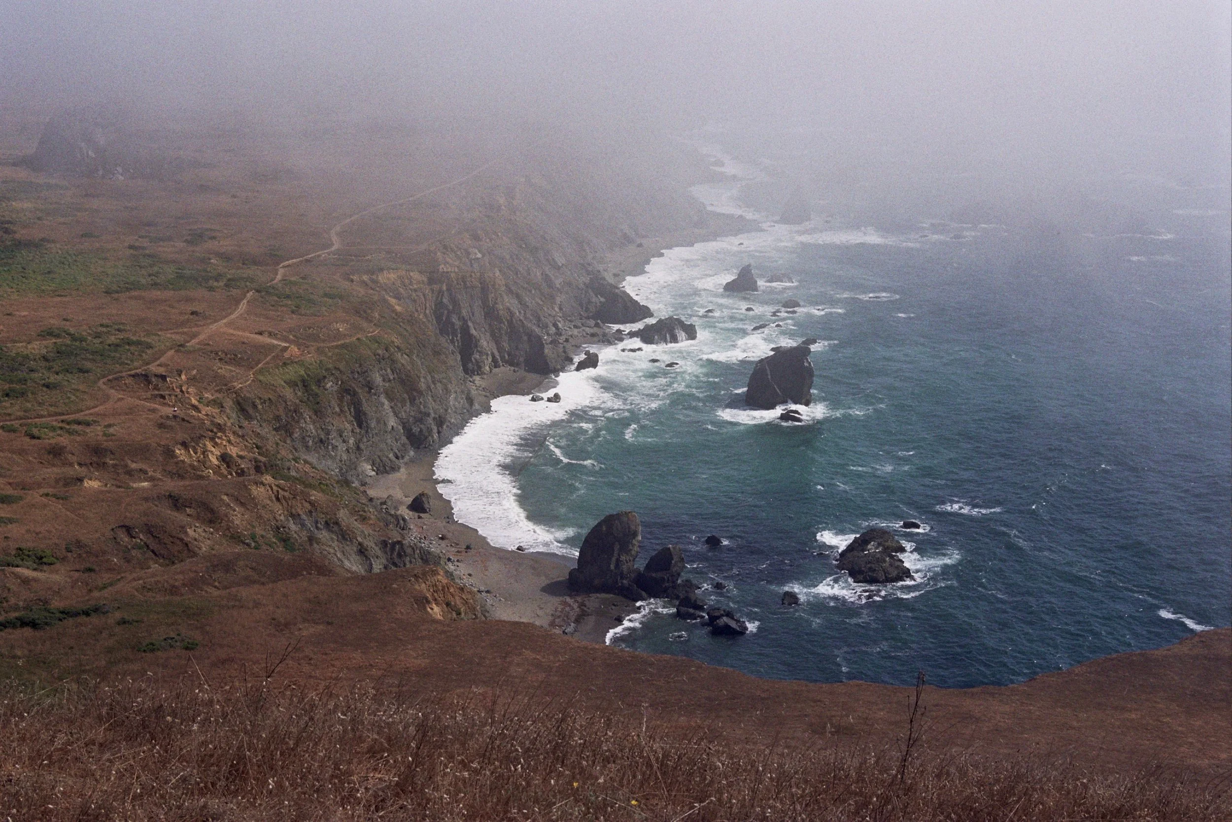 The marine layer is your constant companion along this trail.