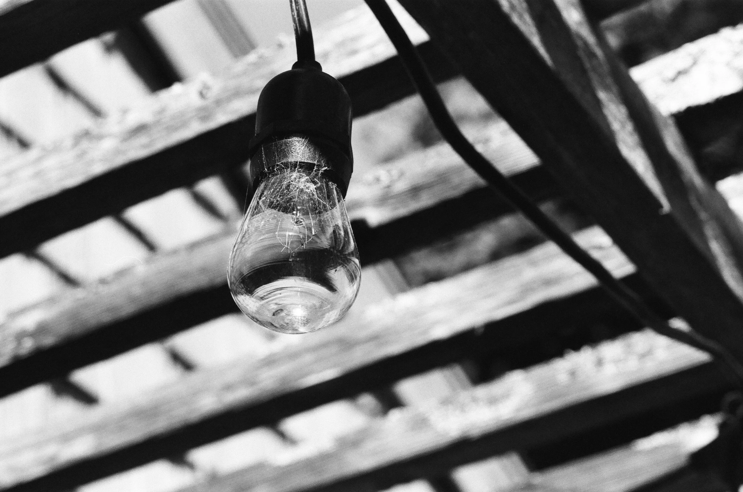 Bulb.jpg