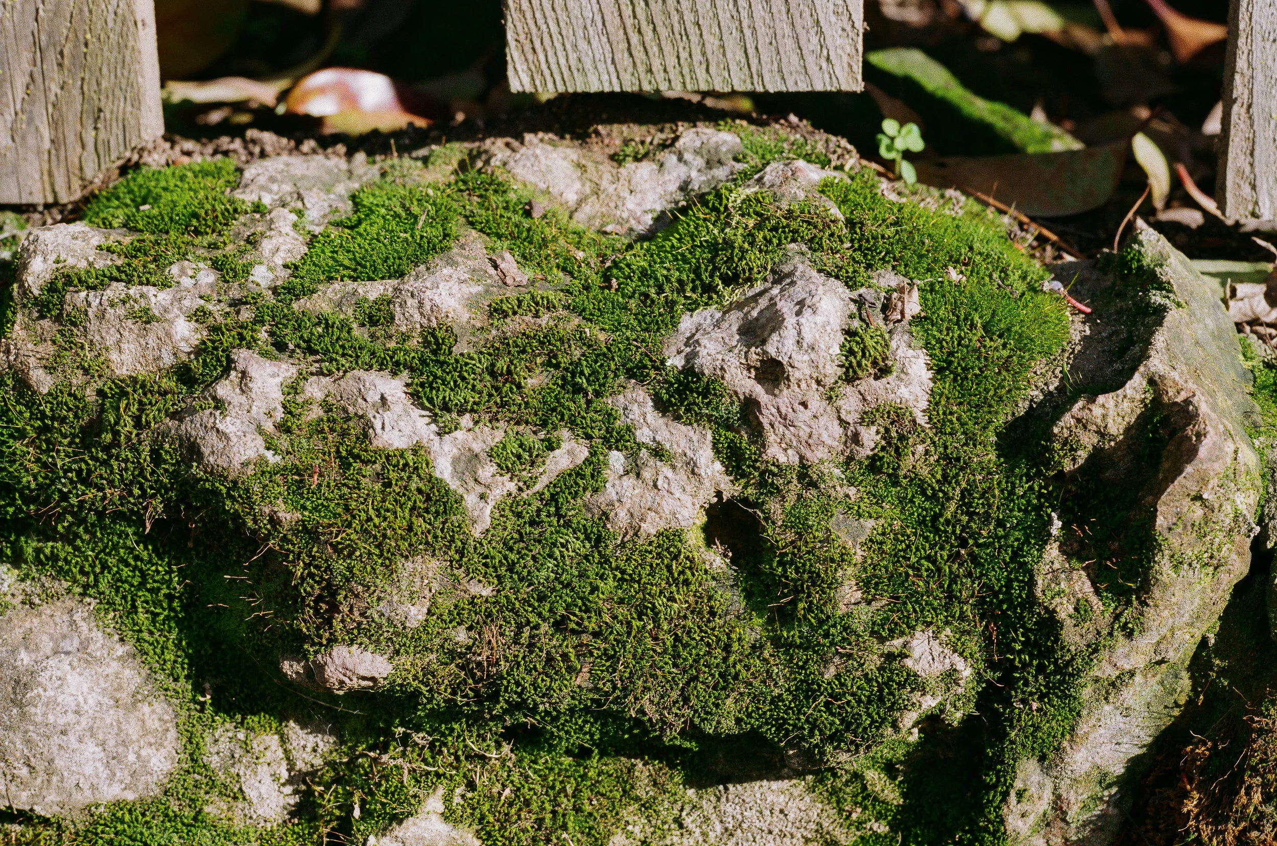0448_0017-2.jpg