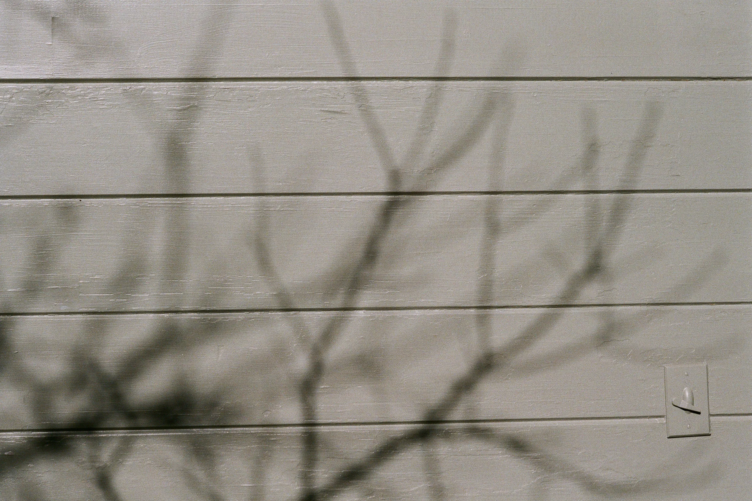 0448_0013-2.jpg