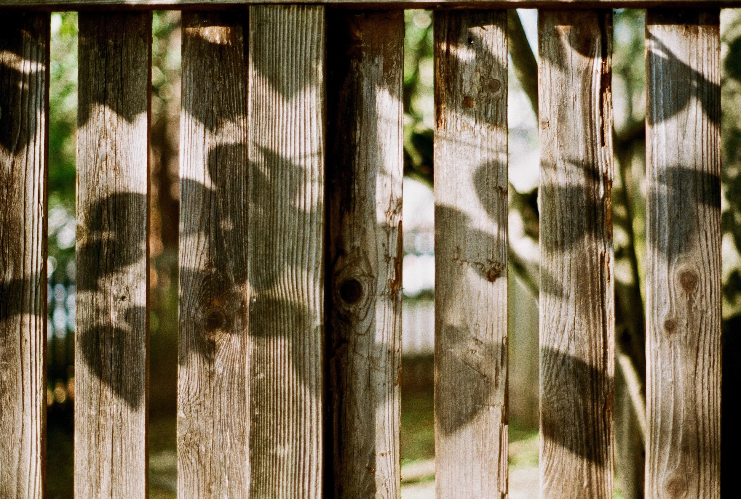 1622_0005.jpg