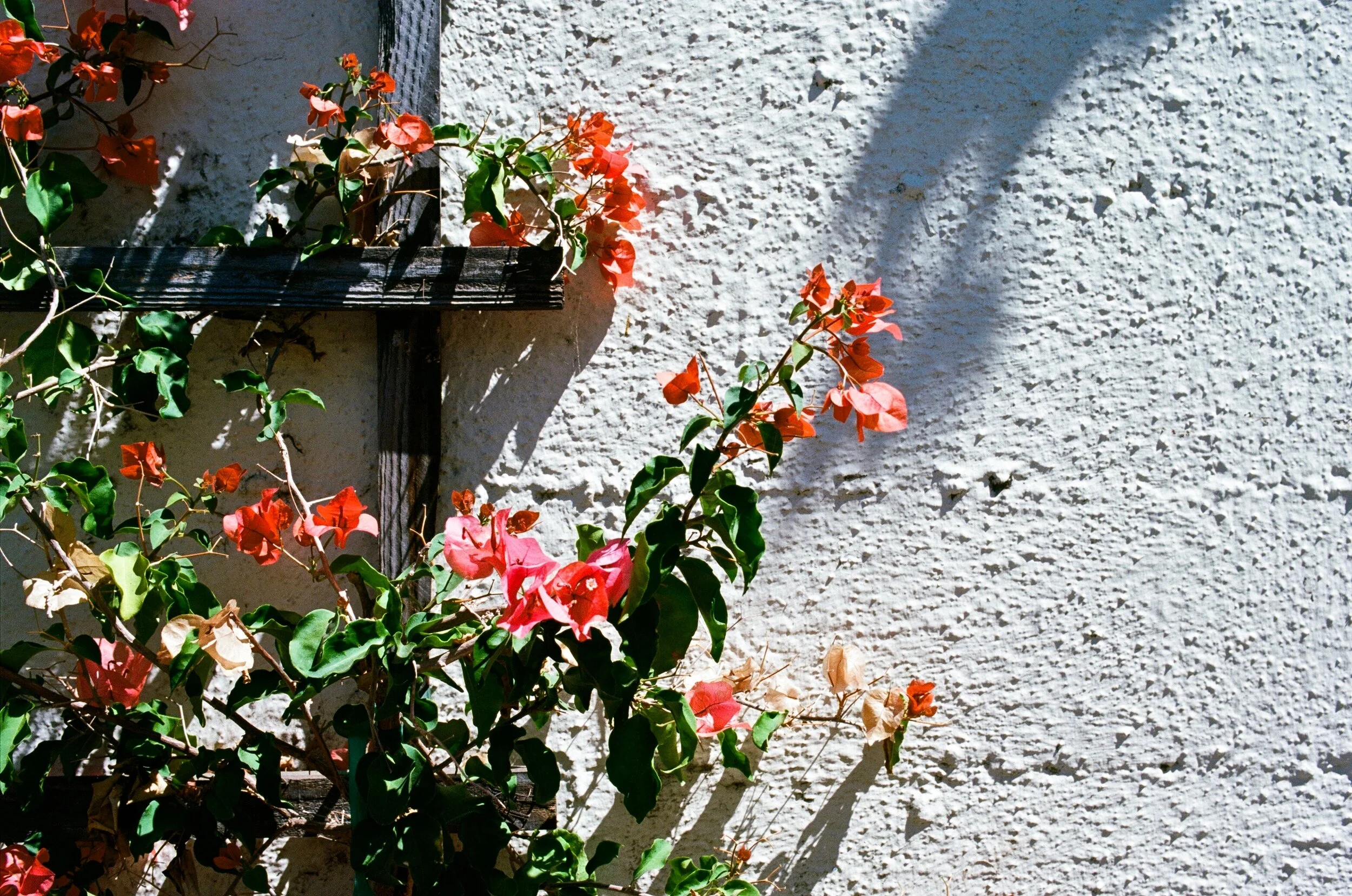 0046_0002.jpg