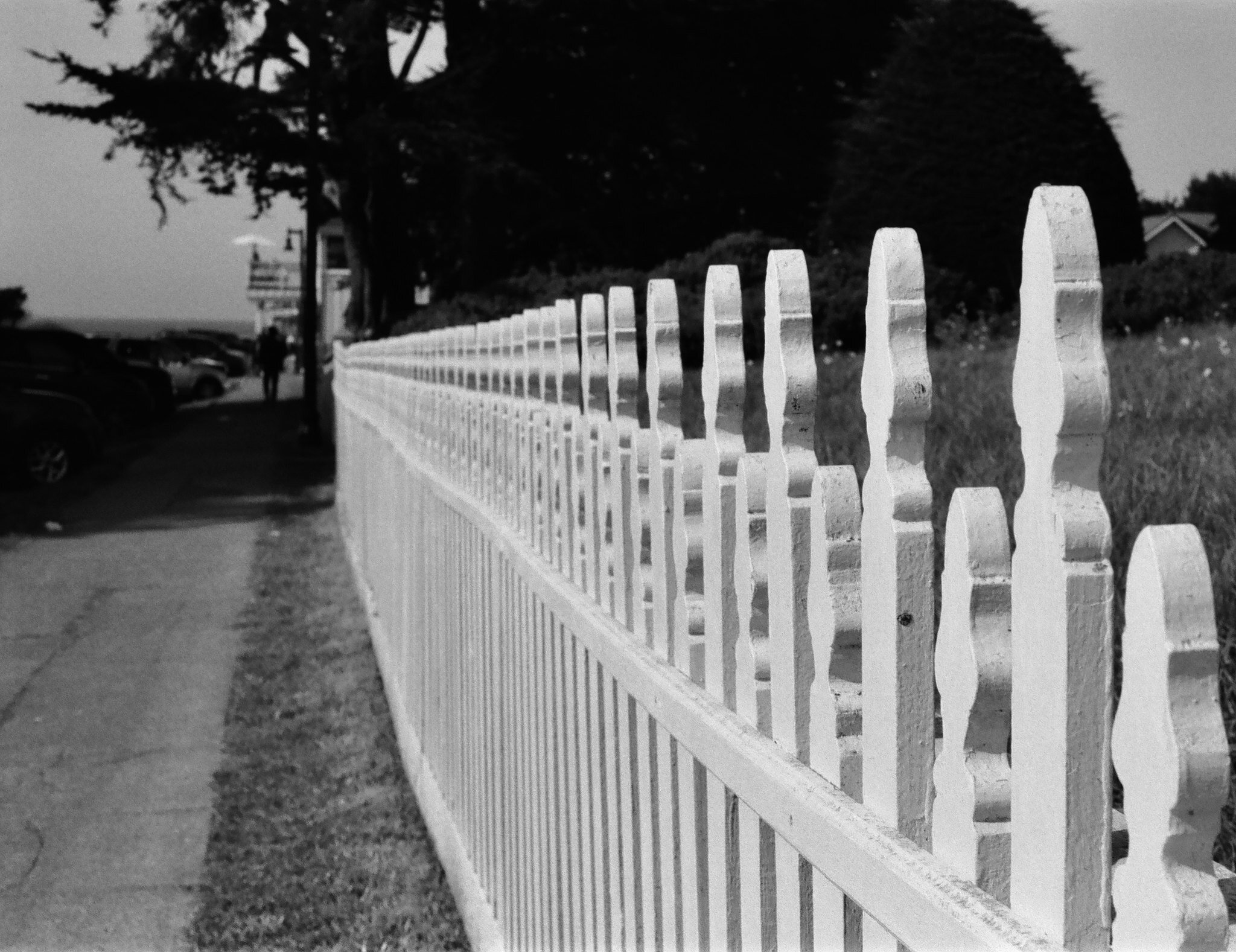 Mendocino Fence