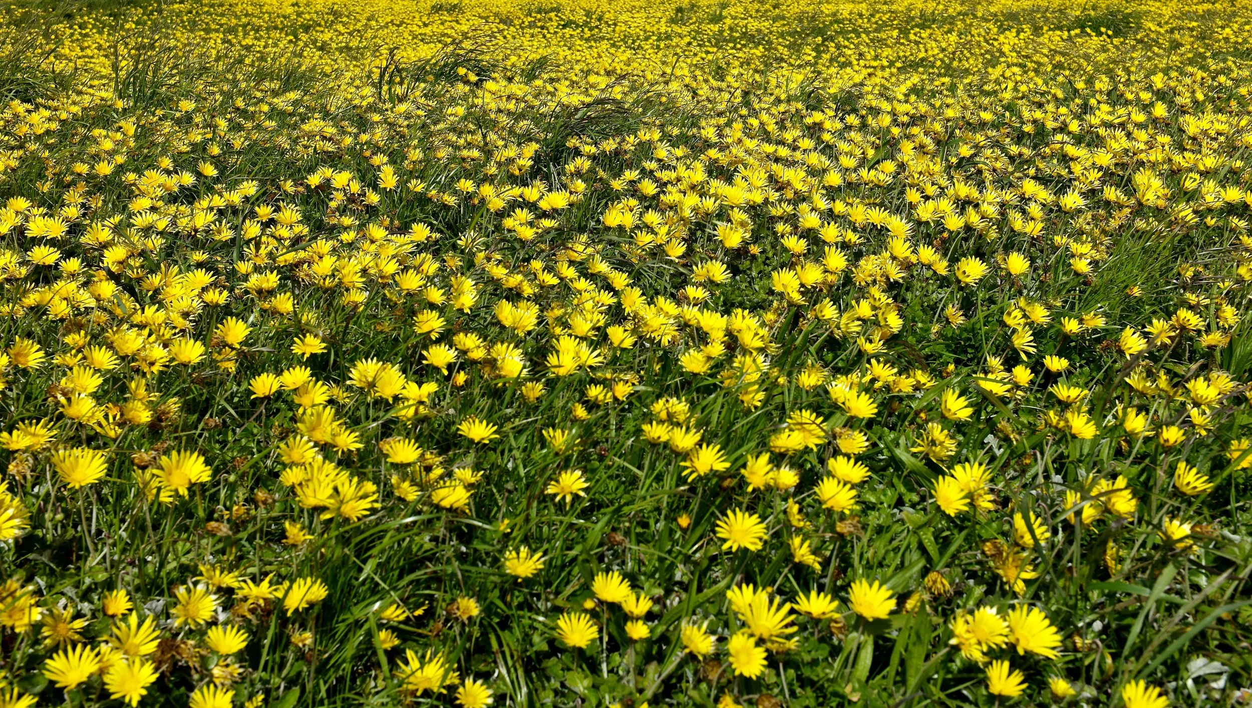 L1002945.JPG