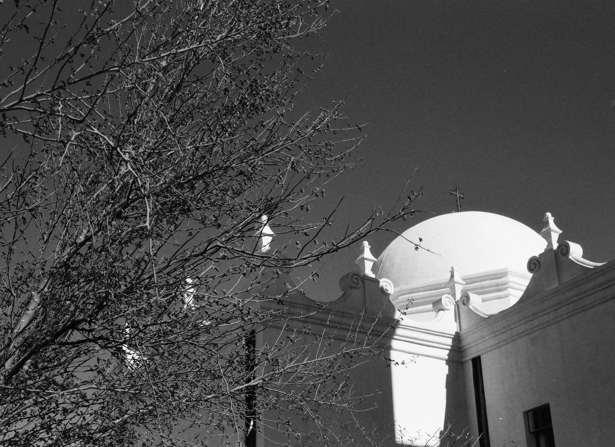 Mission San Xavier del Bac