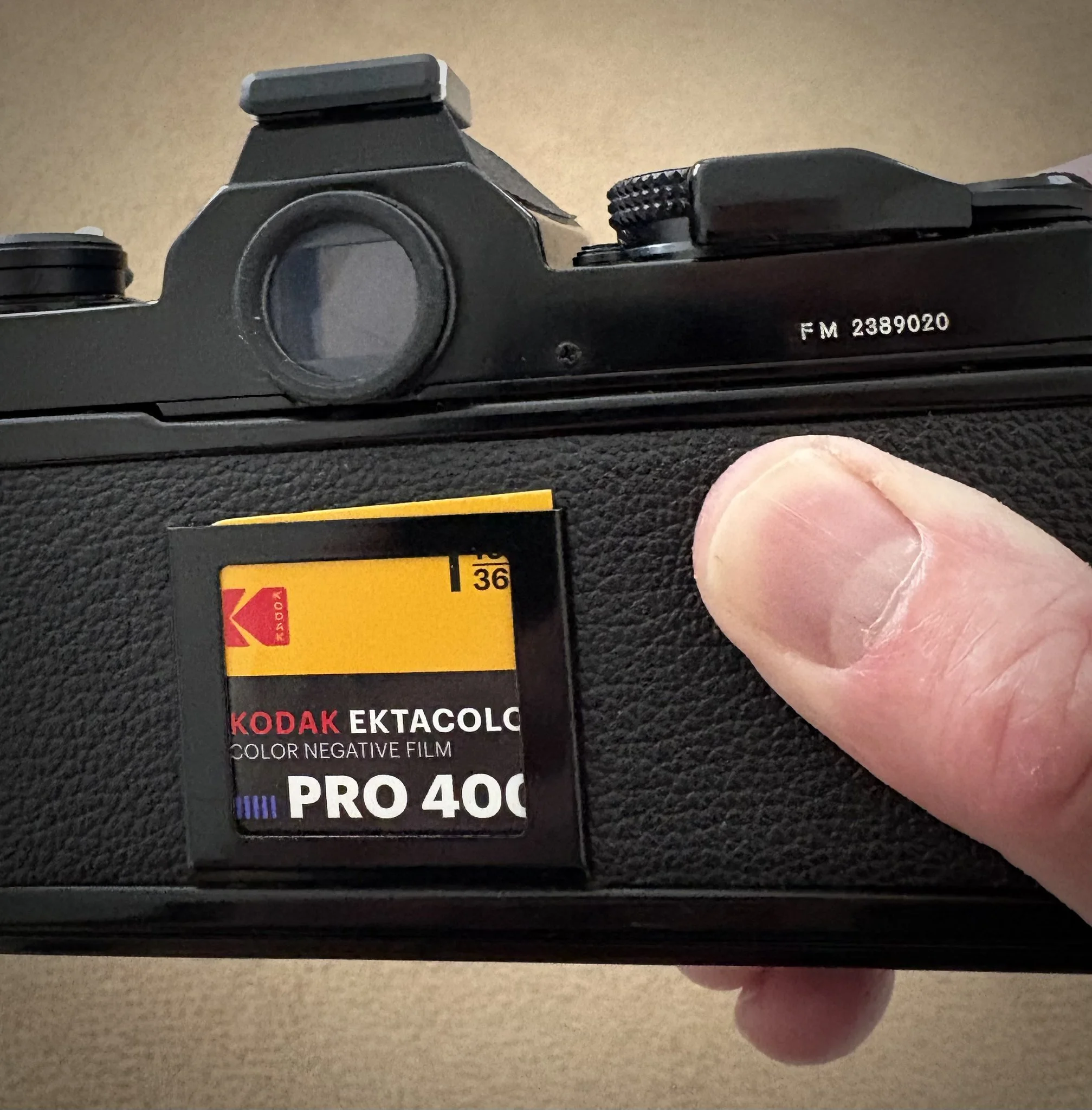 Ektacolor 400 in the Nikon FM