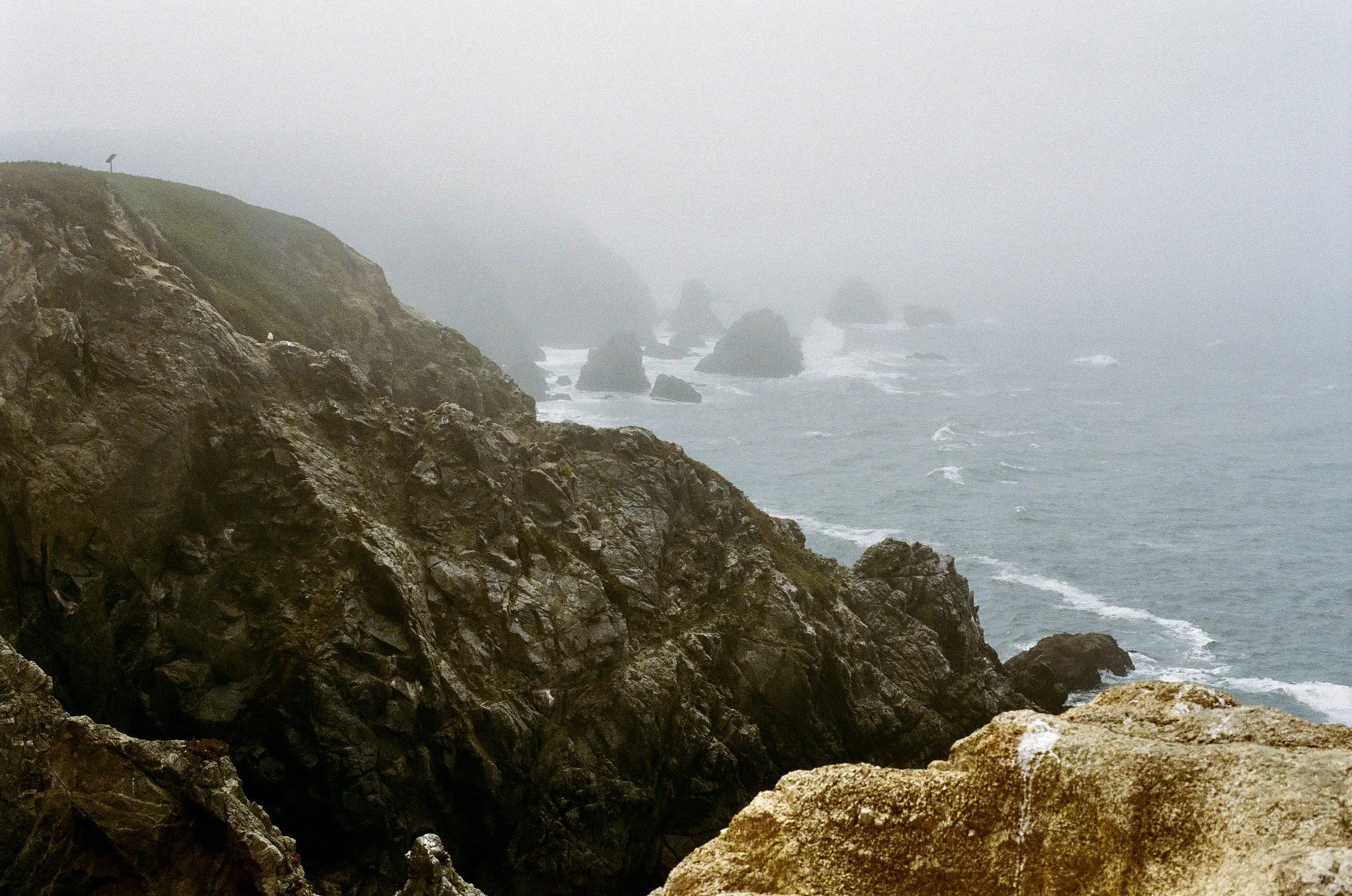 Bodega Head