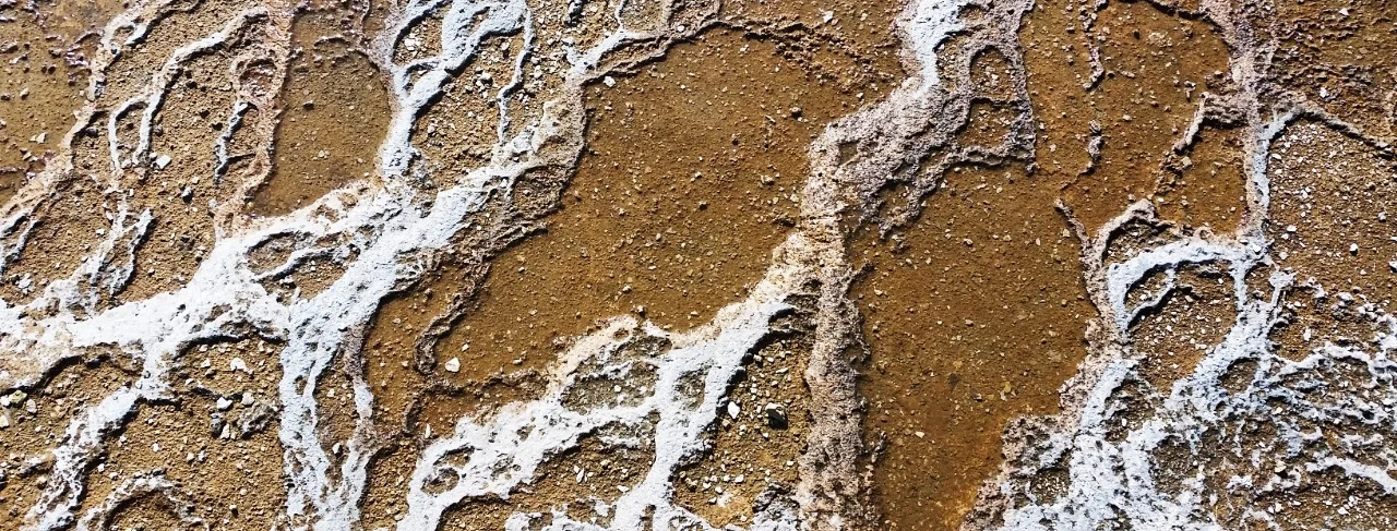texture (1).jpg