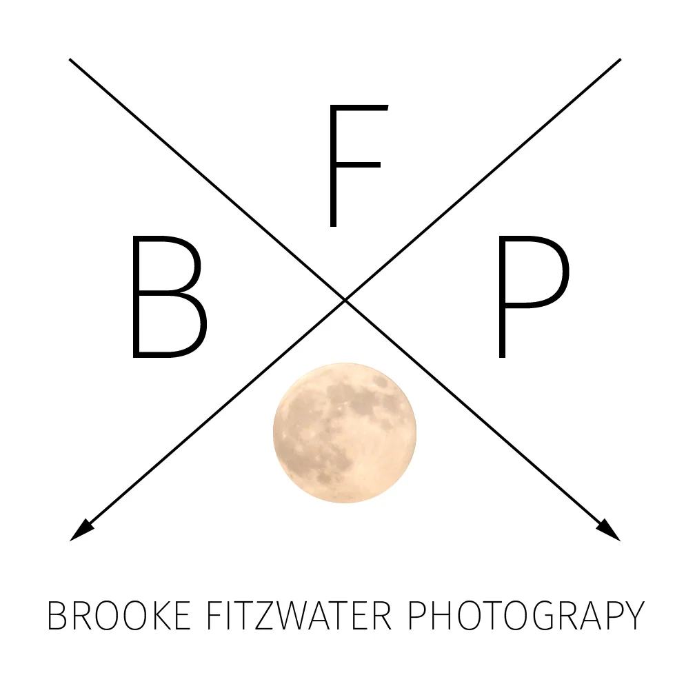 Moon Logo with Name.jpg