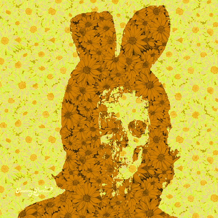 Pushing Up Daisies (orange)