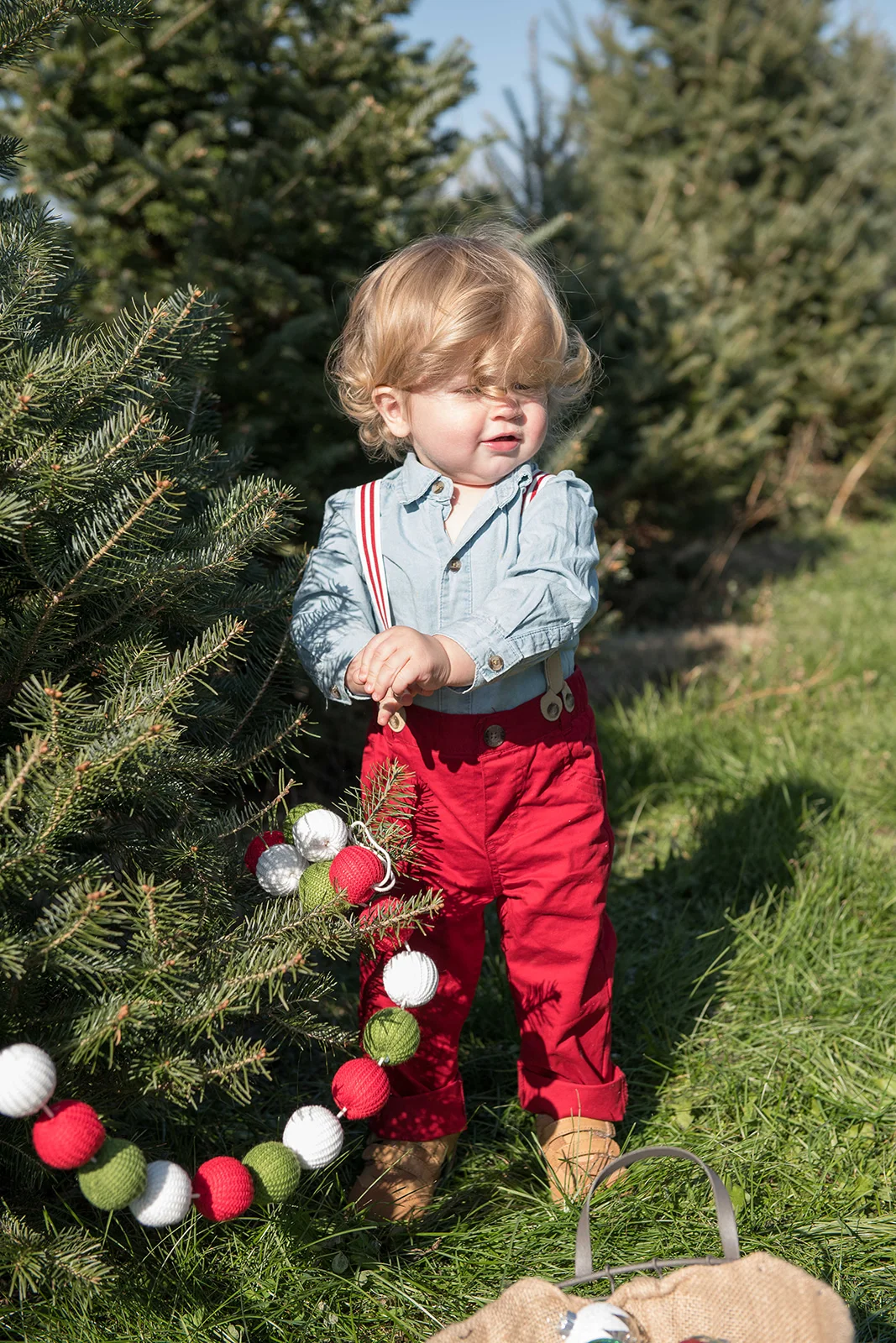 Victor and Harry have my love for Christmas decorating too!