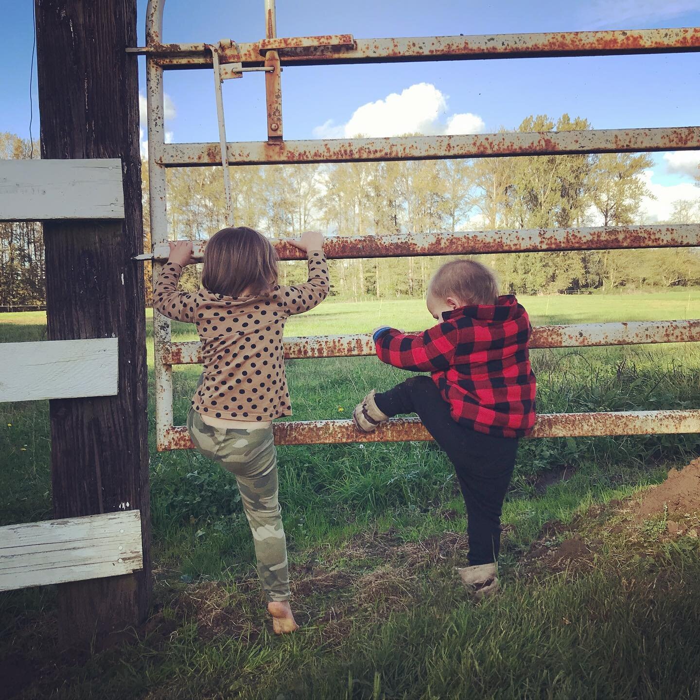 I love watching these two swing on gates and talk about what sounds the farm animals make. Life on the farm is so much sweeter sharing the honest and humble lifestyle of raising animals with children. 

Did you know we do private farm tours, where al