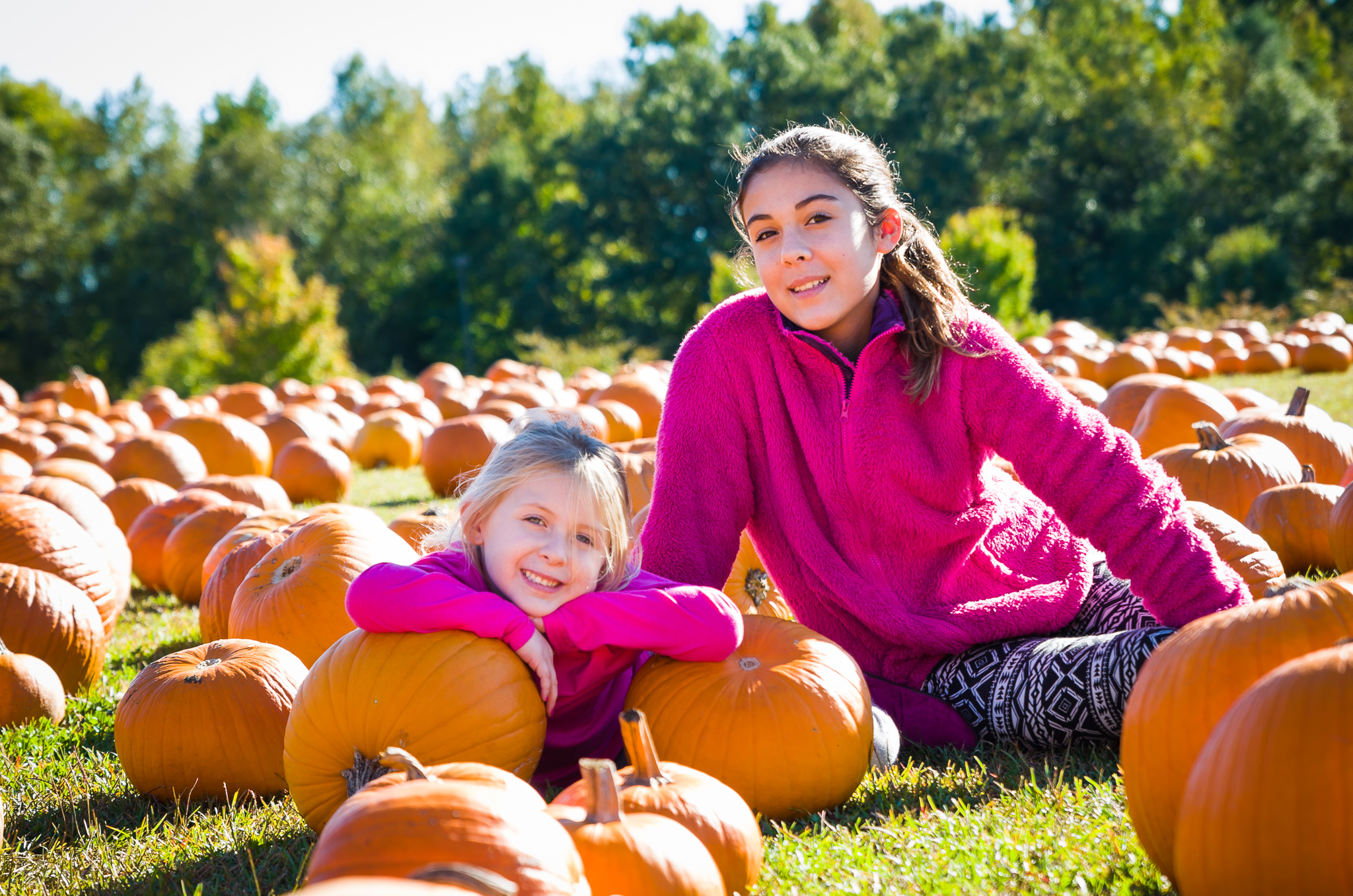 Pumpkin Picking 2014-024.jpg