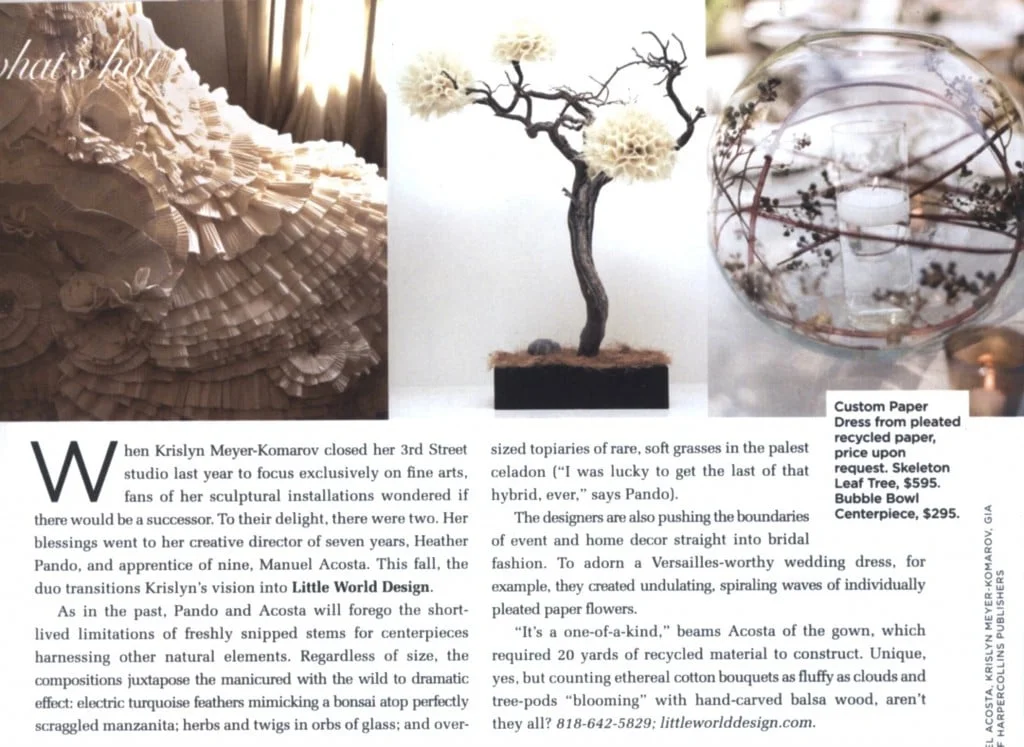 CMag0811-pg2-1024x747.jpg