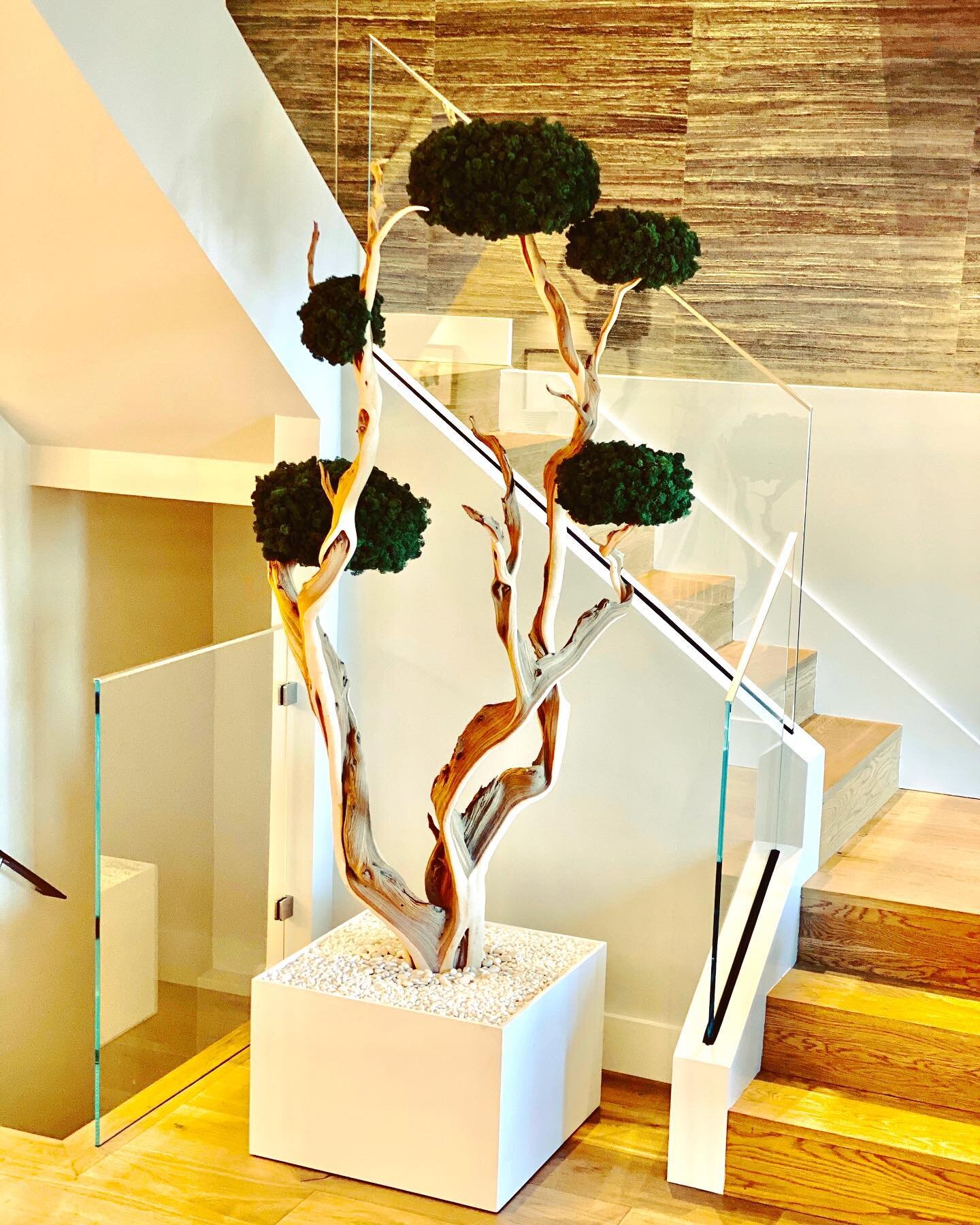 So lovely to see this beauty installed in the Bay Area. Special thanks to the fabulous @borisoffdesign. 

Approximate scale: 92&rdquo; high x 40&rdquo; wide x 30&rdquo; deep 

Great entry statement. 💚