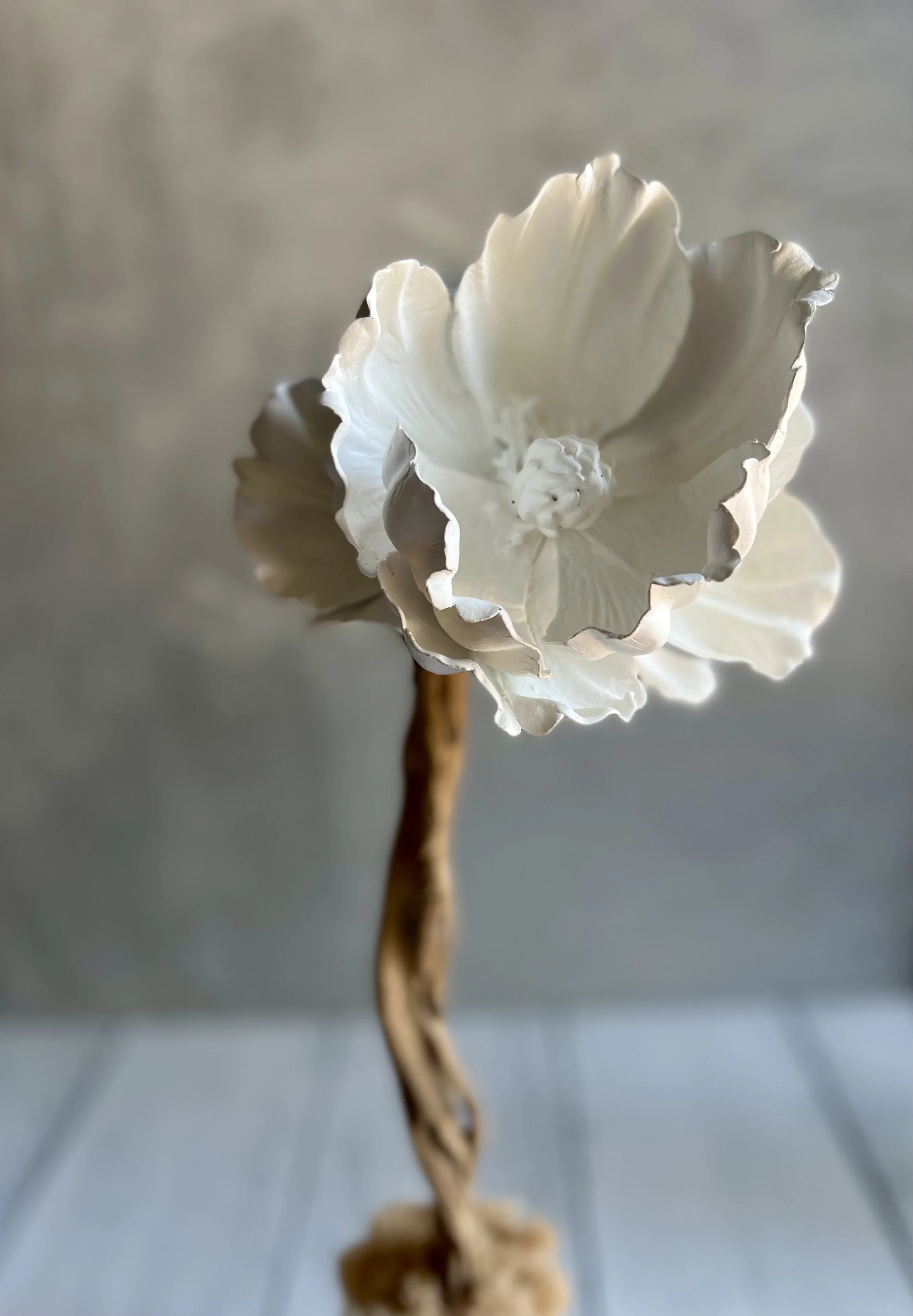 Magnolia_Bloom_white_artist.jpeg