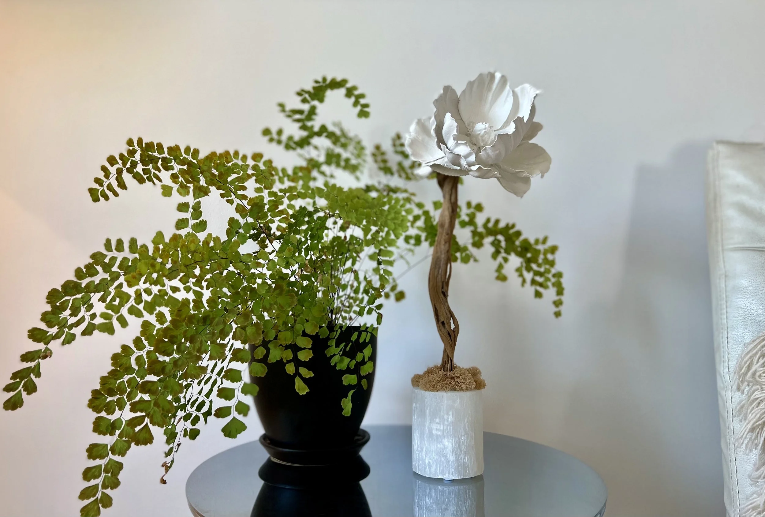 Magnolia_Sculpture_Selenite_Heather_Pando_artist.jpeg