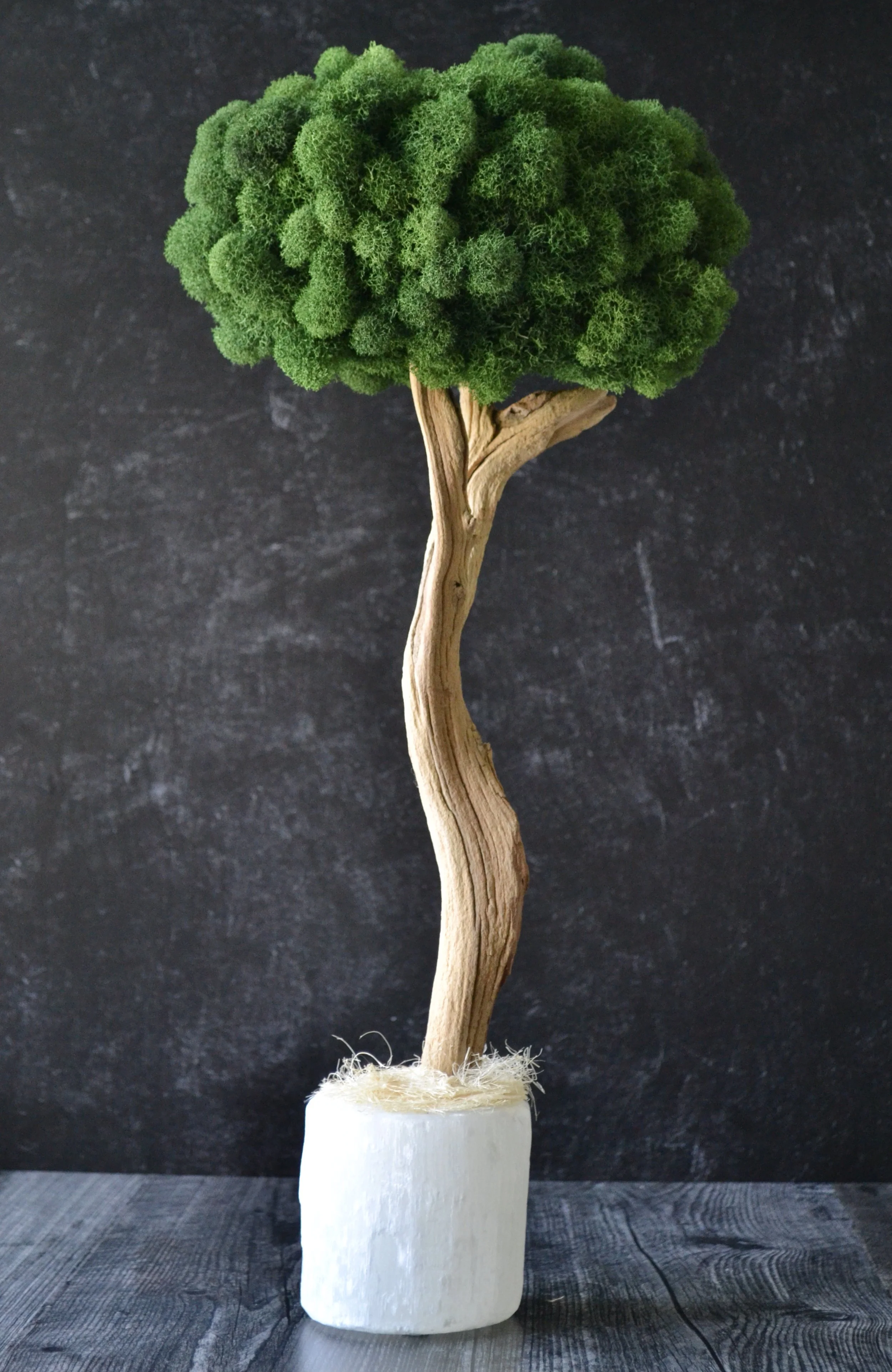 Bonsai_Sculpture_Selenite_Heather_Pando.JPG